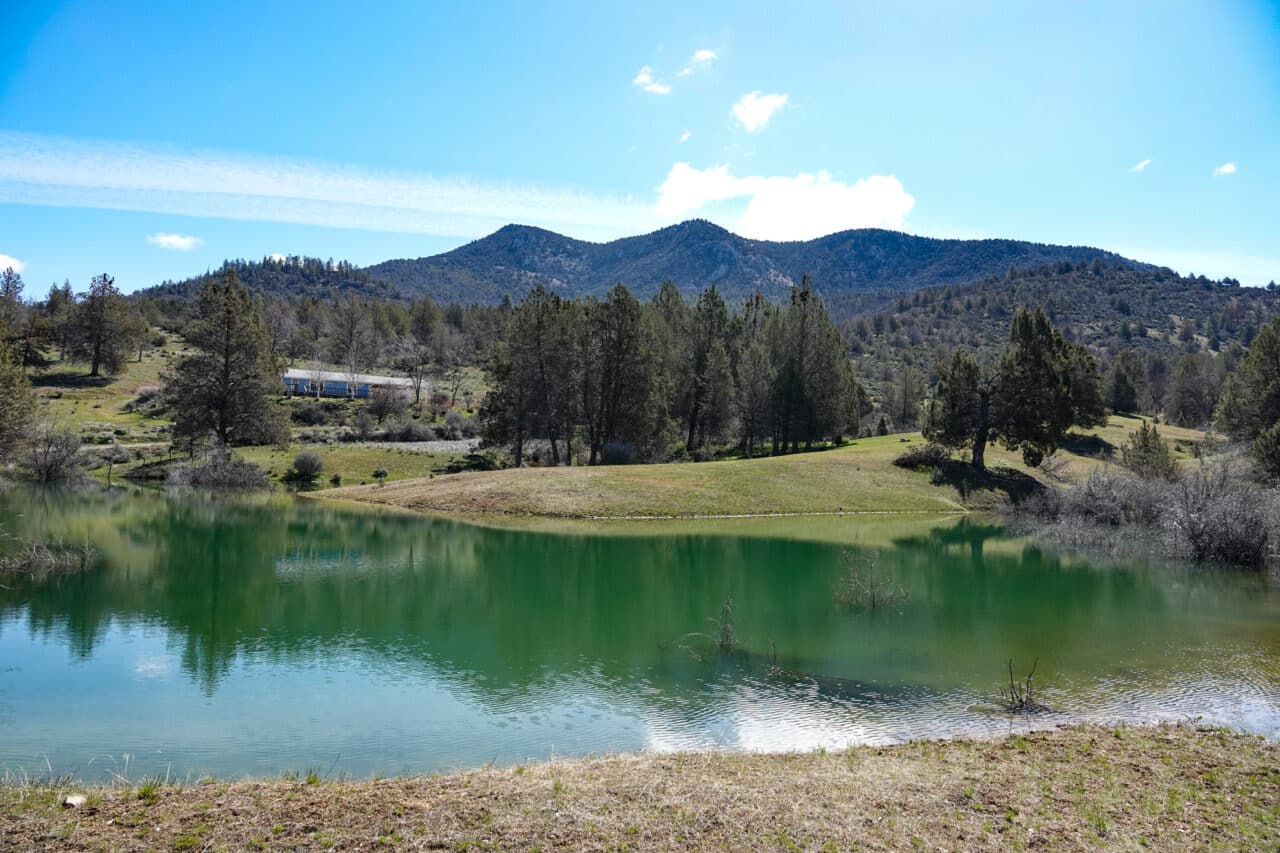 Blacktail Hills Retreat