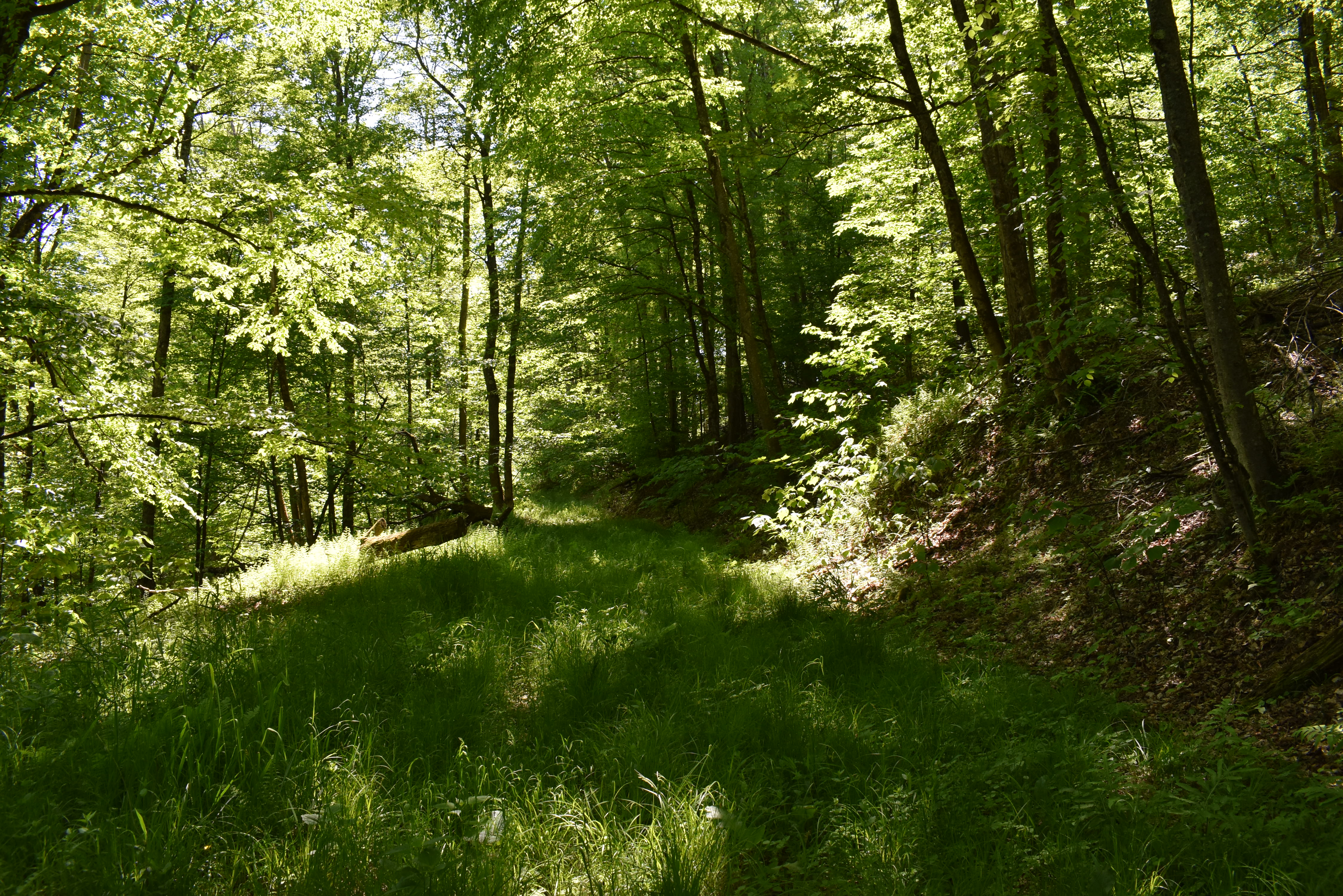 Listing Image 29