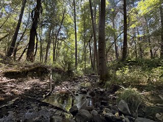 5 Acres-Hwy 238 Applegate, OR