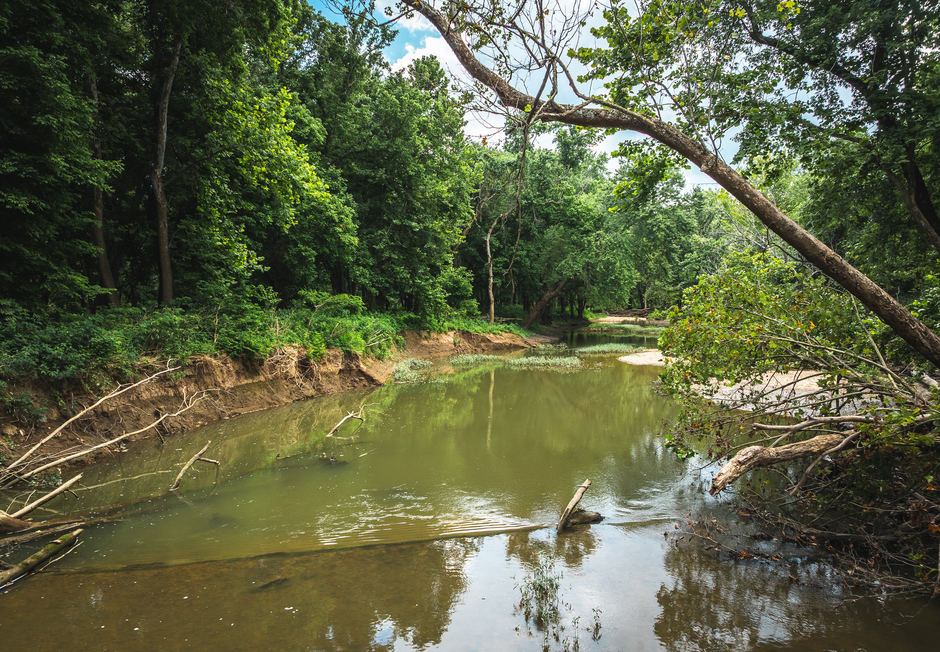 Gasconade Angus Ranch
