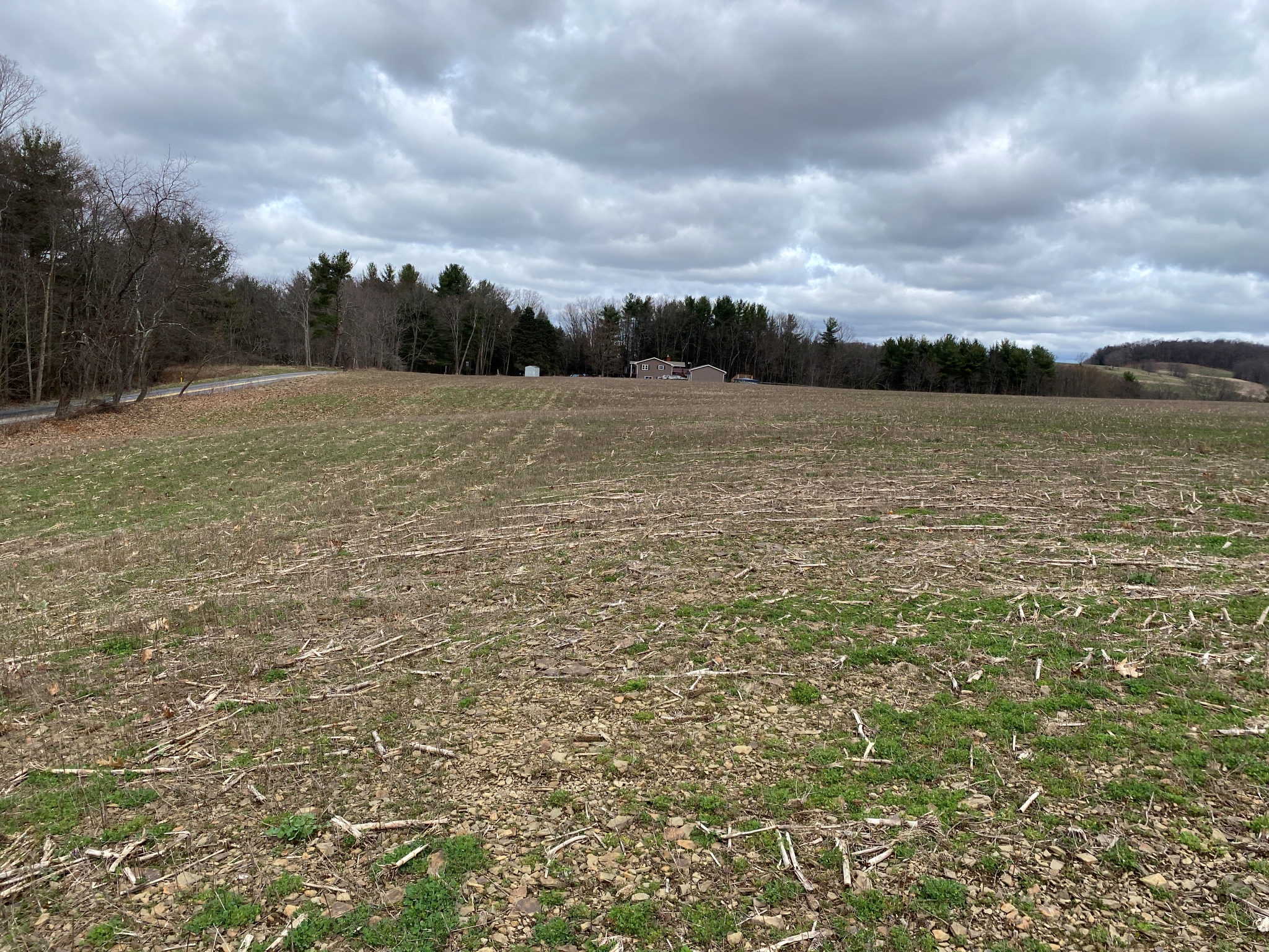 Mark's Meadow