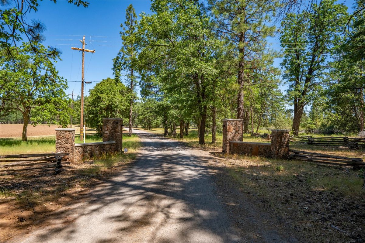 Listing Image 82