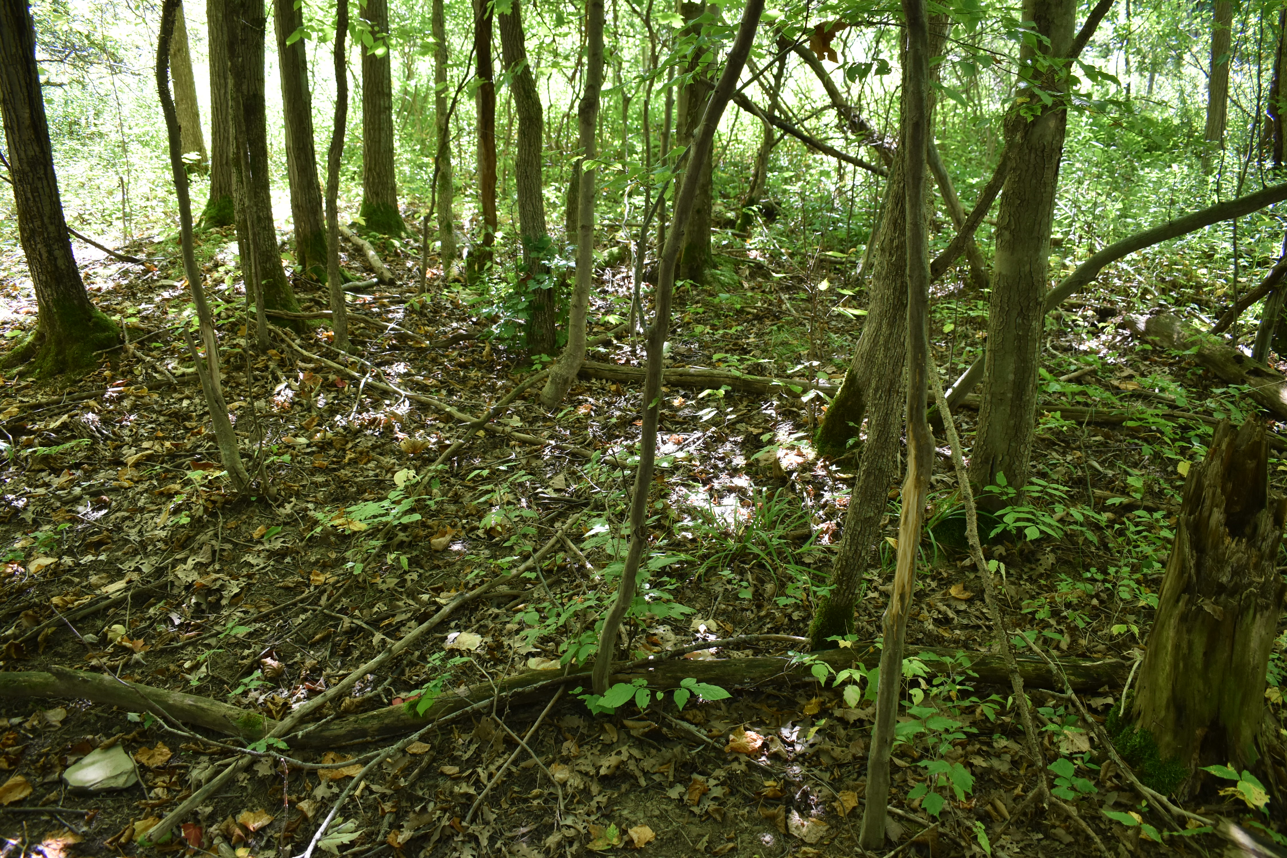 Hunter's Hidden Treasure