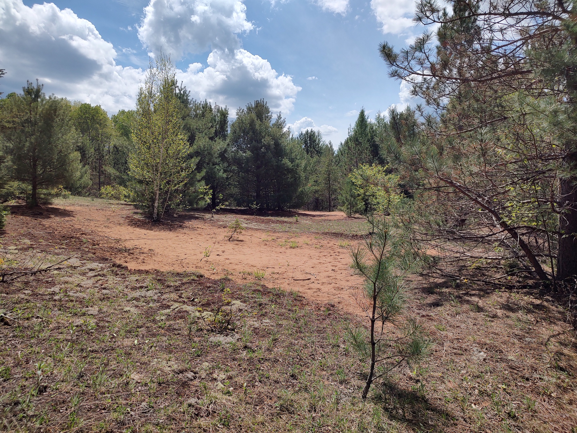 160 Acre Wilderness Retreat 50175391