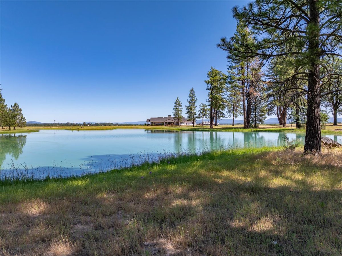 Listing Image 54