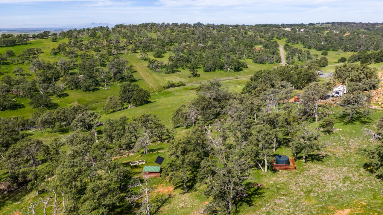 Listing Image 62