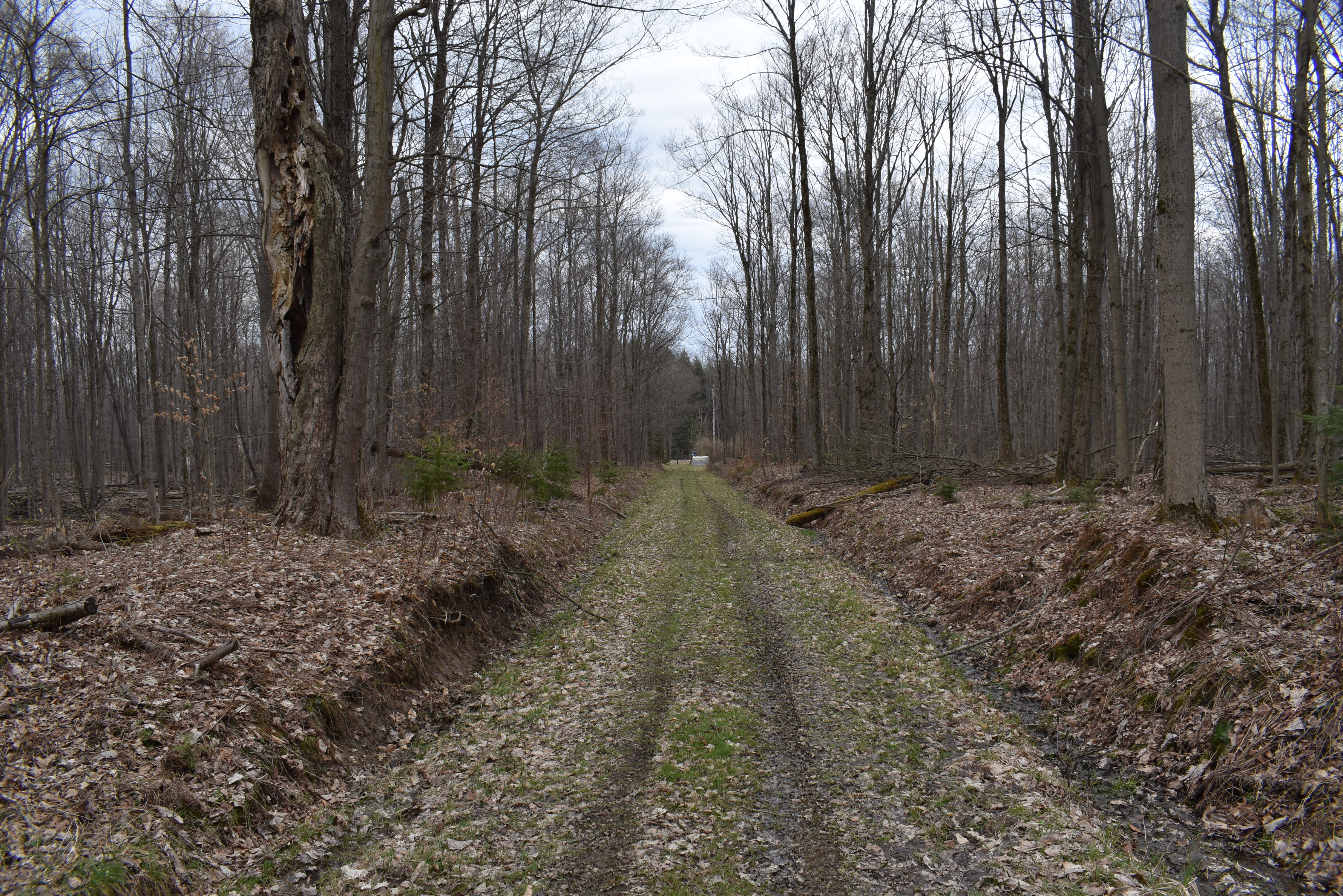 Hammond Hill Hideaway