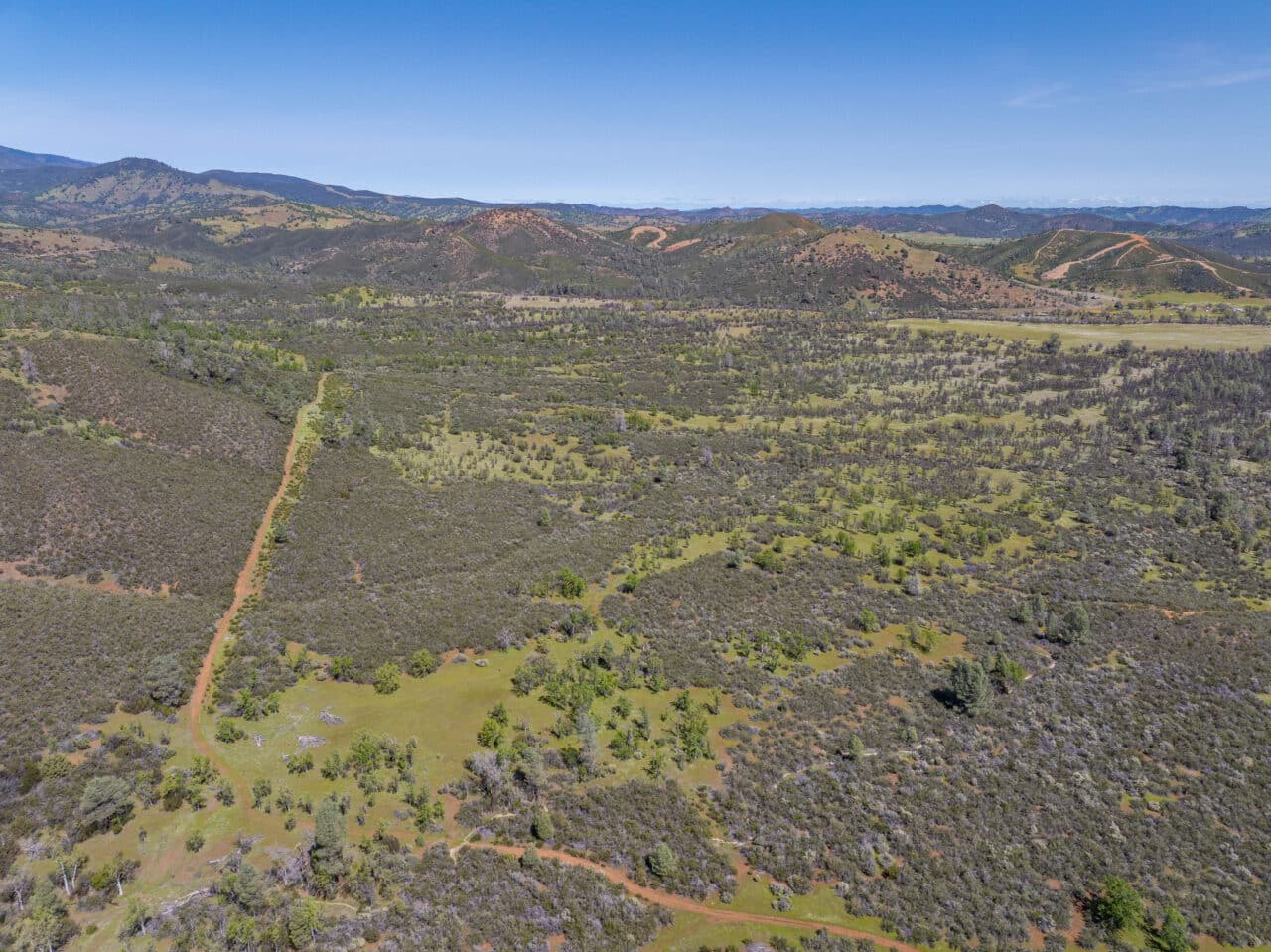 Listing Image 82