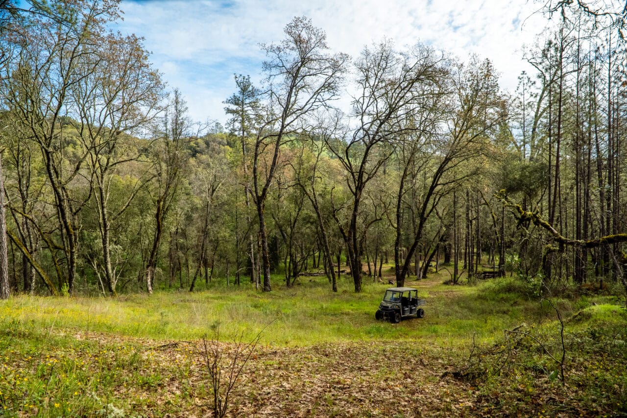 Hyatt Ranch