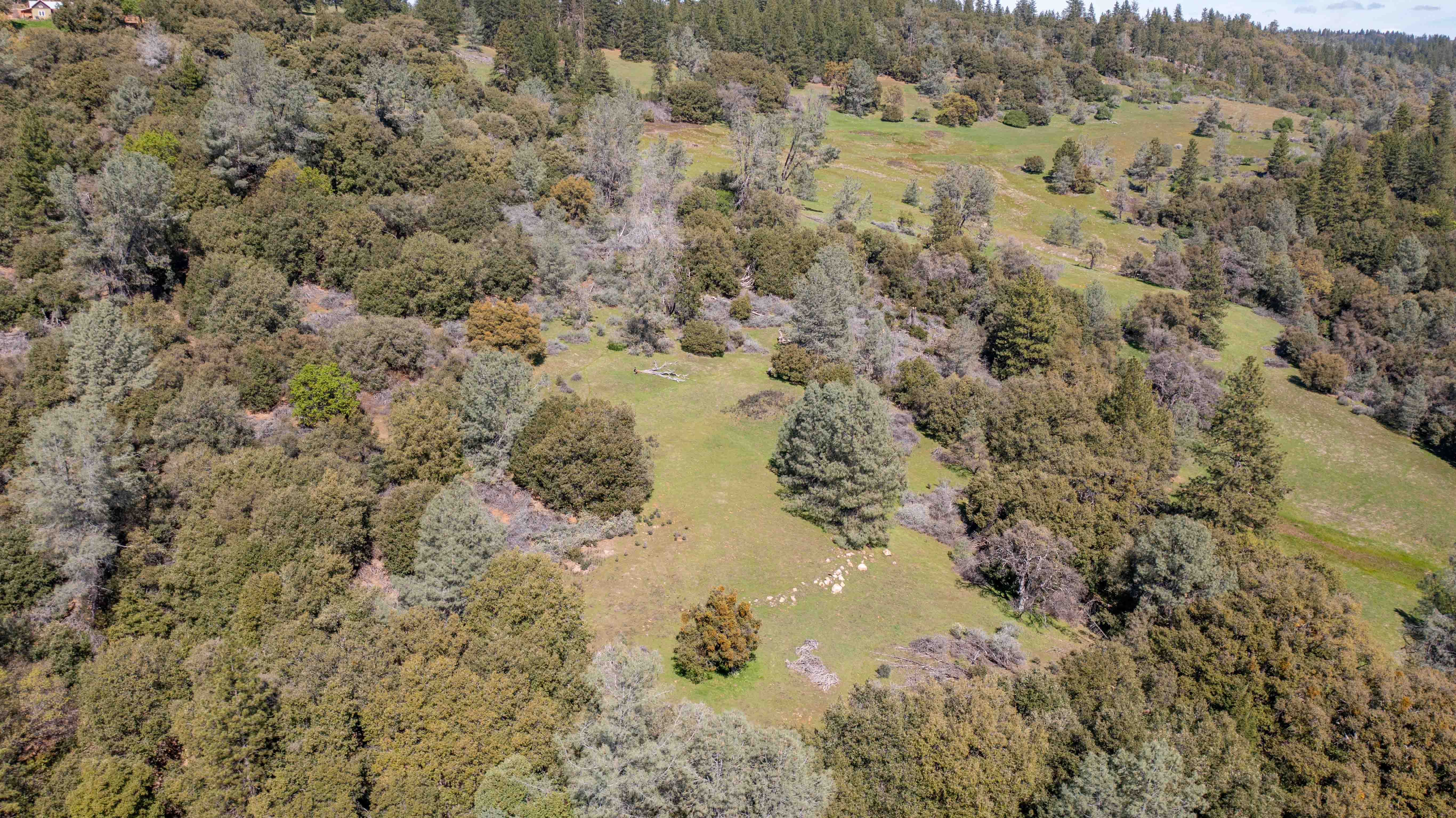 Listing Image 38