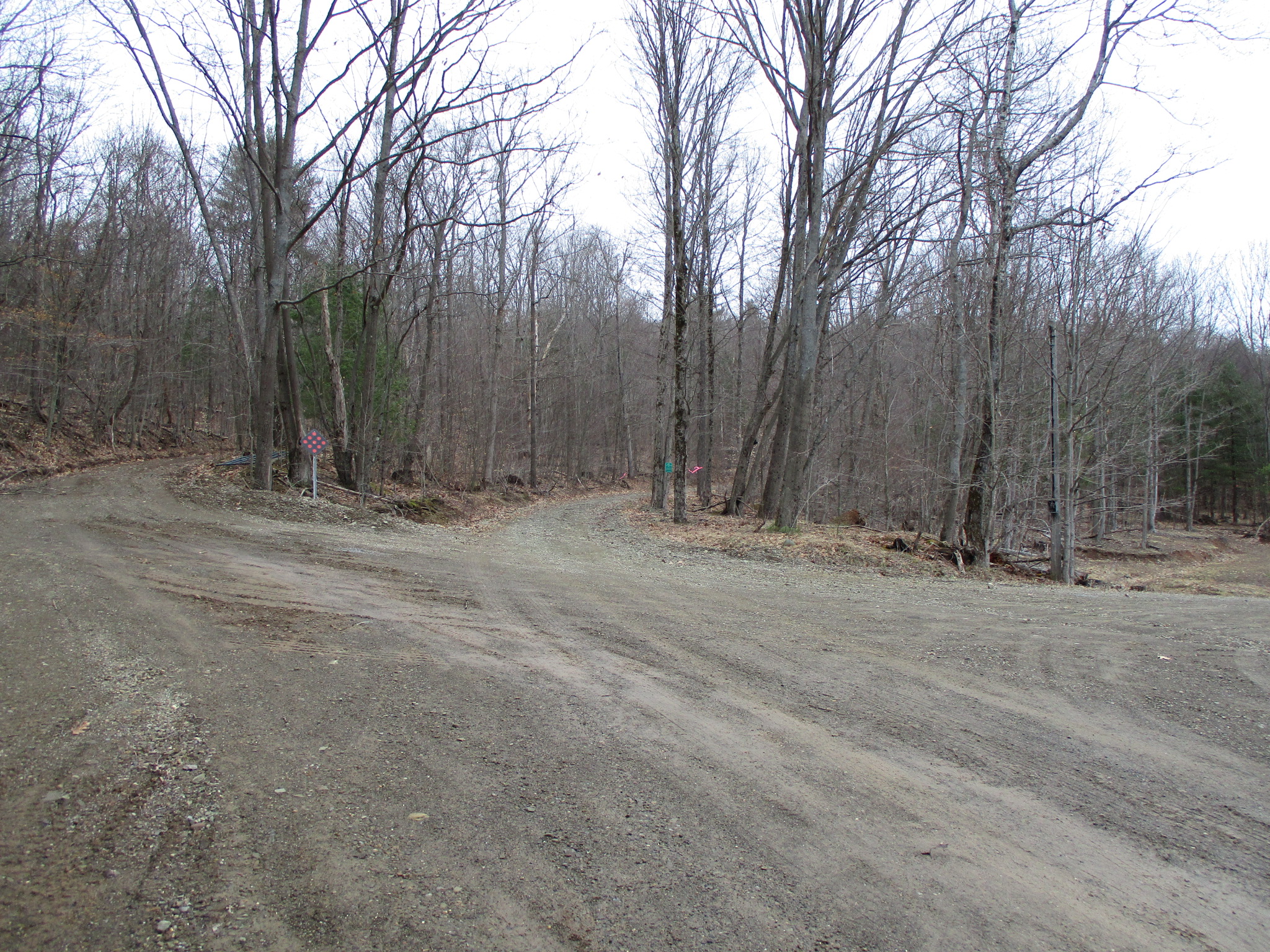 Listing Image 40