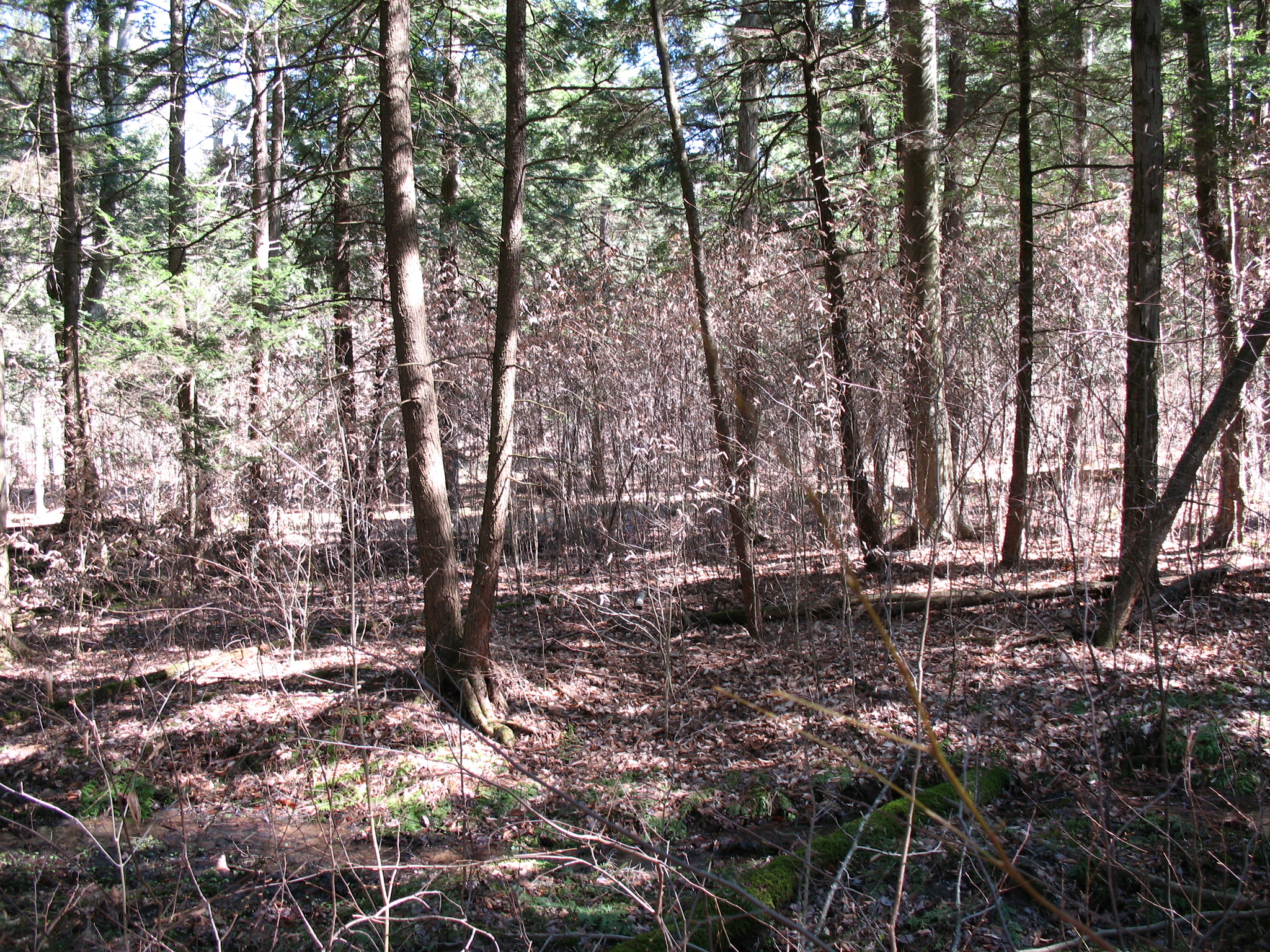 Listing Image 28