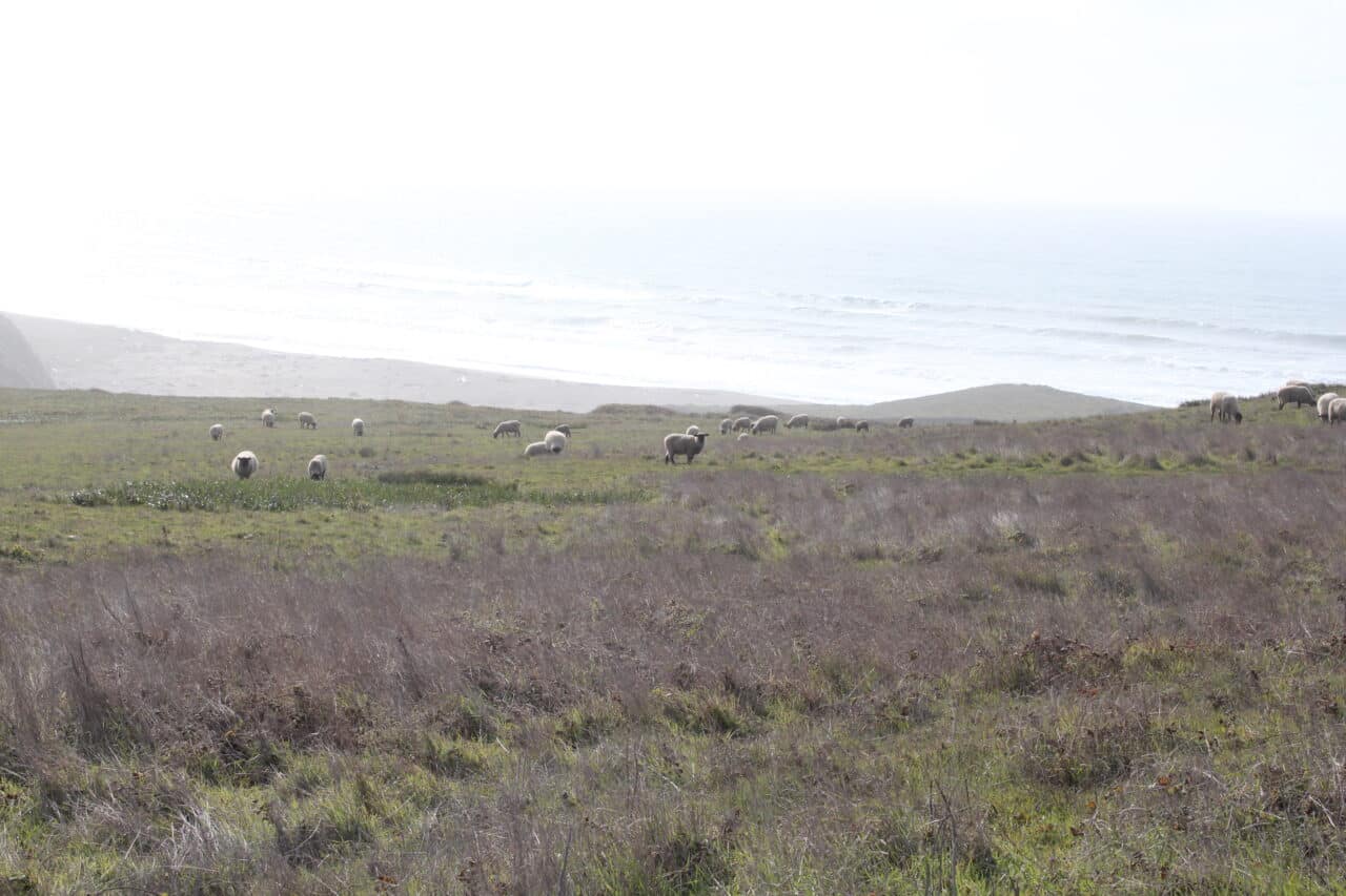 Listing Image 48