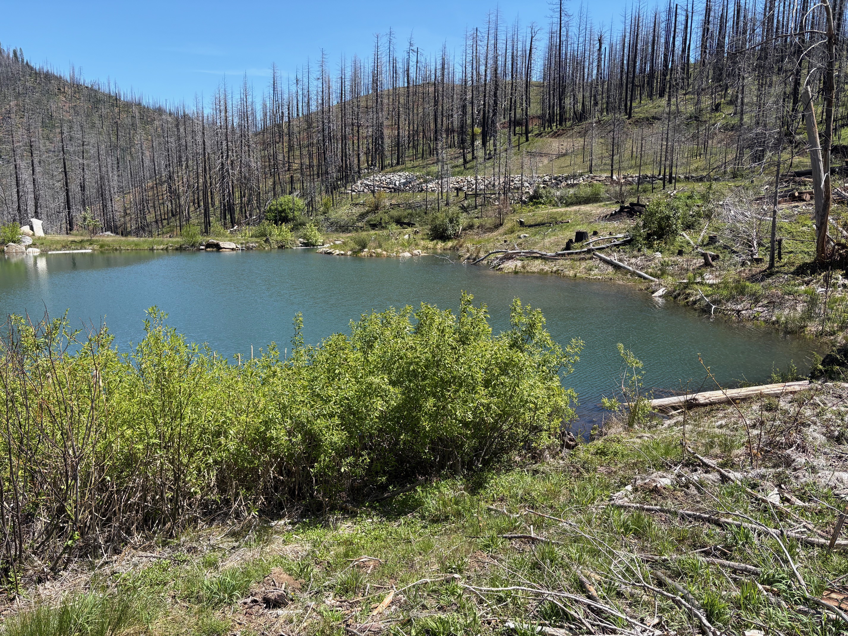 Almay Ranch