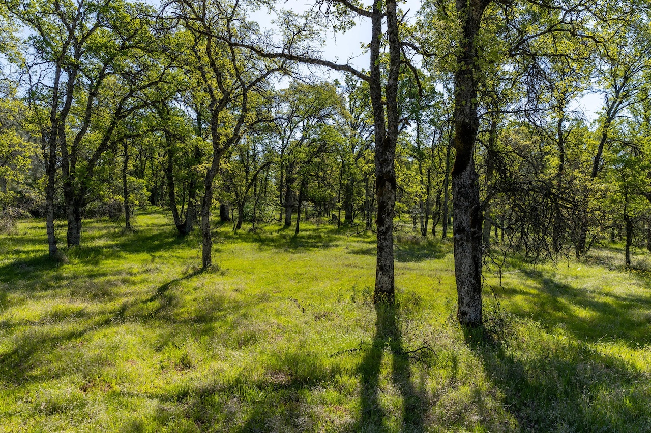 The Bell Ranch in Carmel Valley