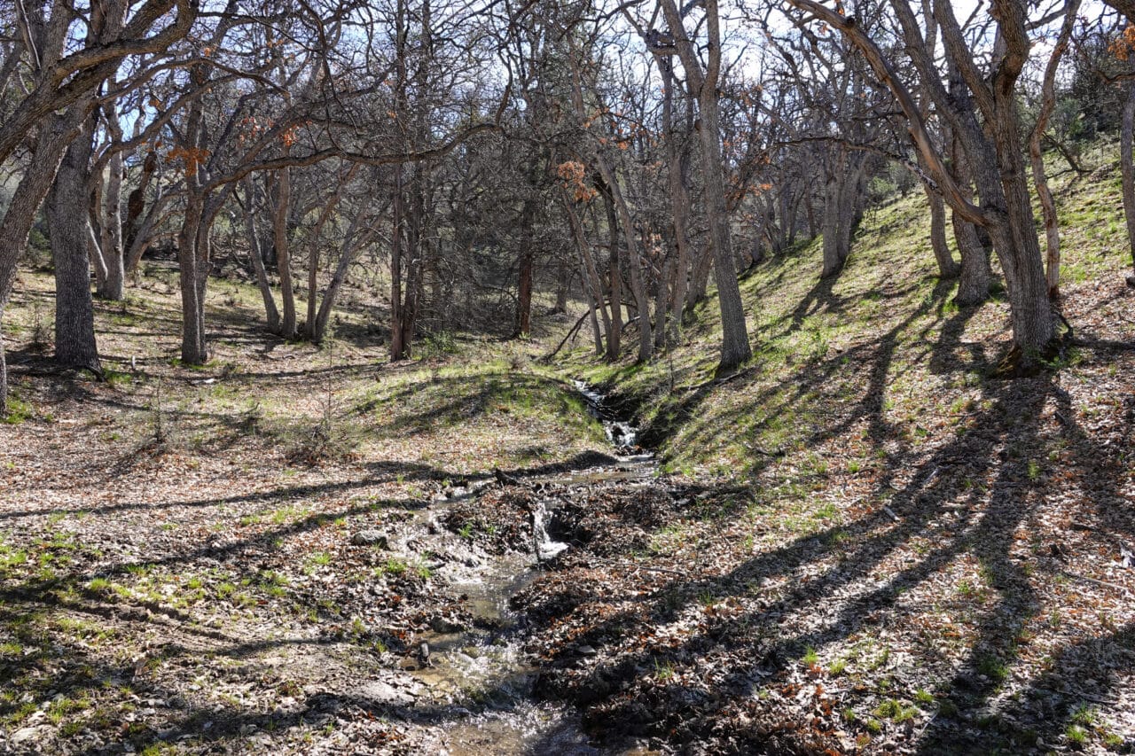 Blacktail Hills Retreat