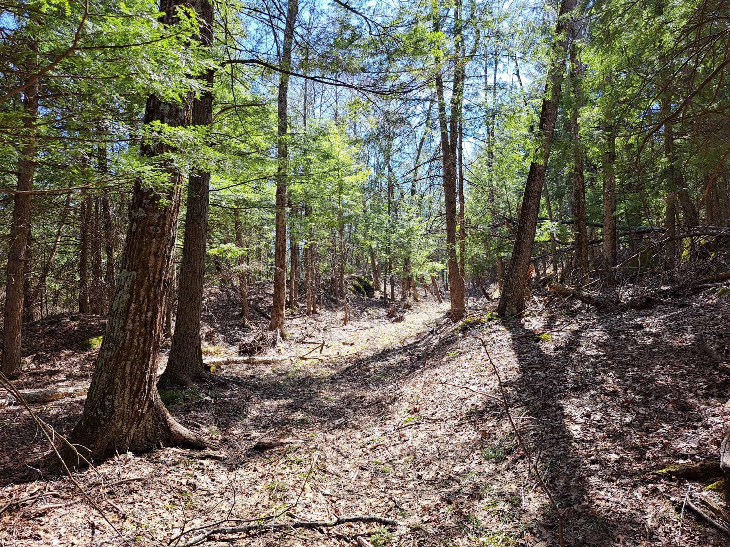 Listing Image 45