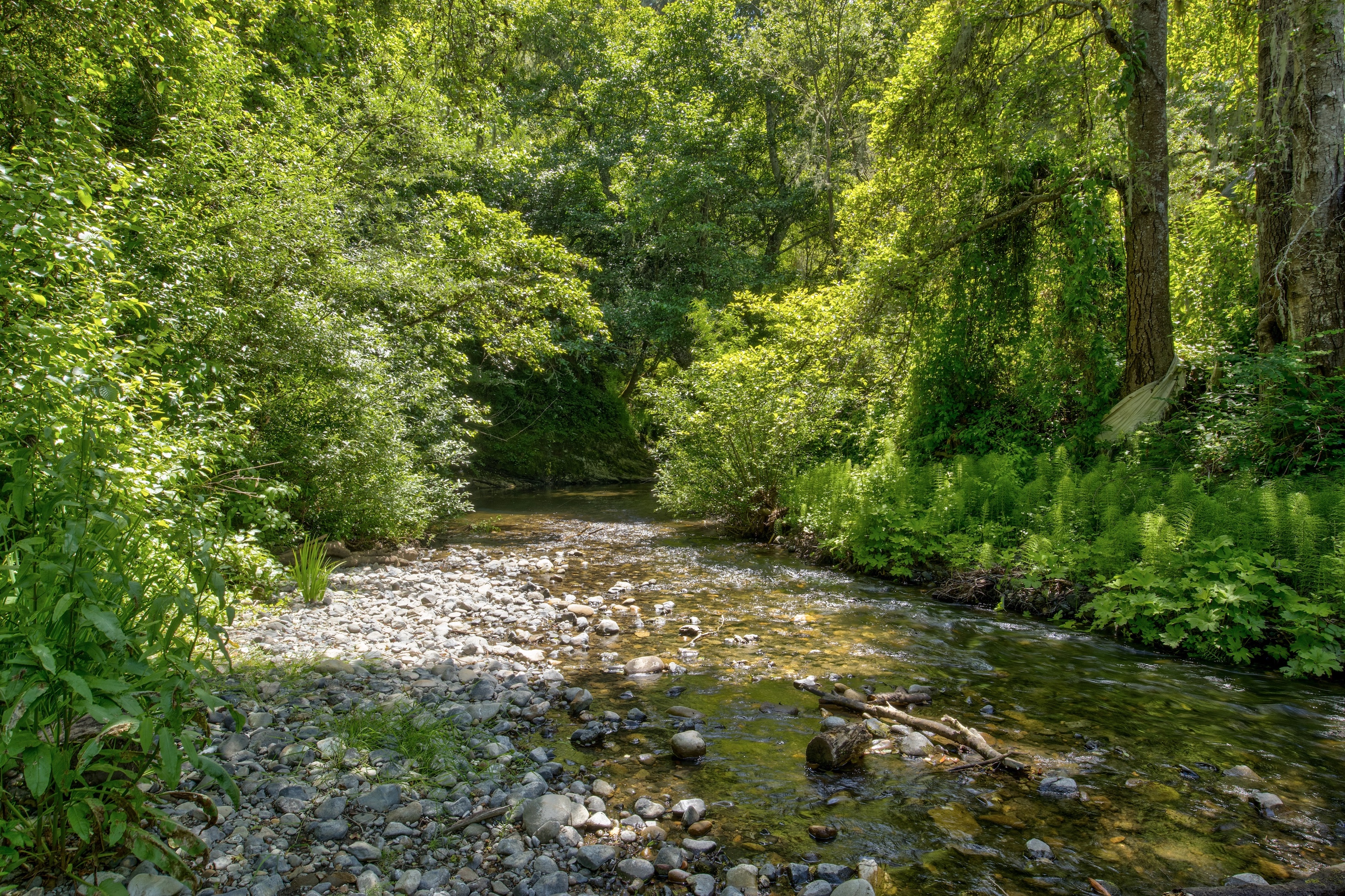 San Gregorio Creekside Farm