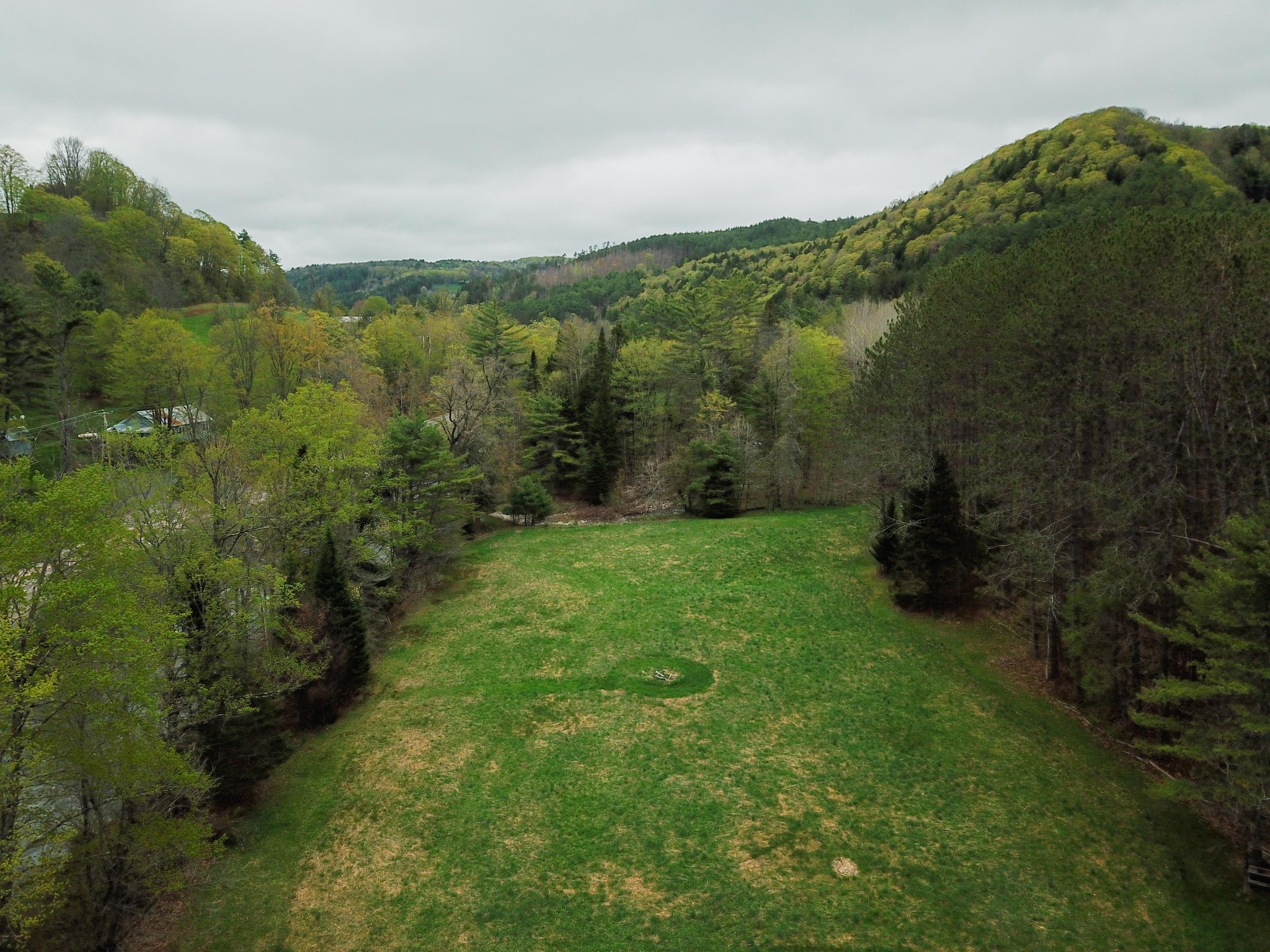 12 Meadowbrook Ln - Chelsea