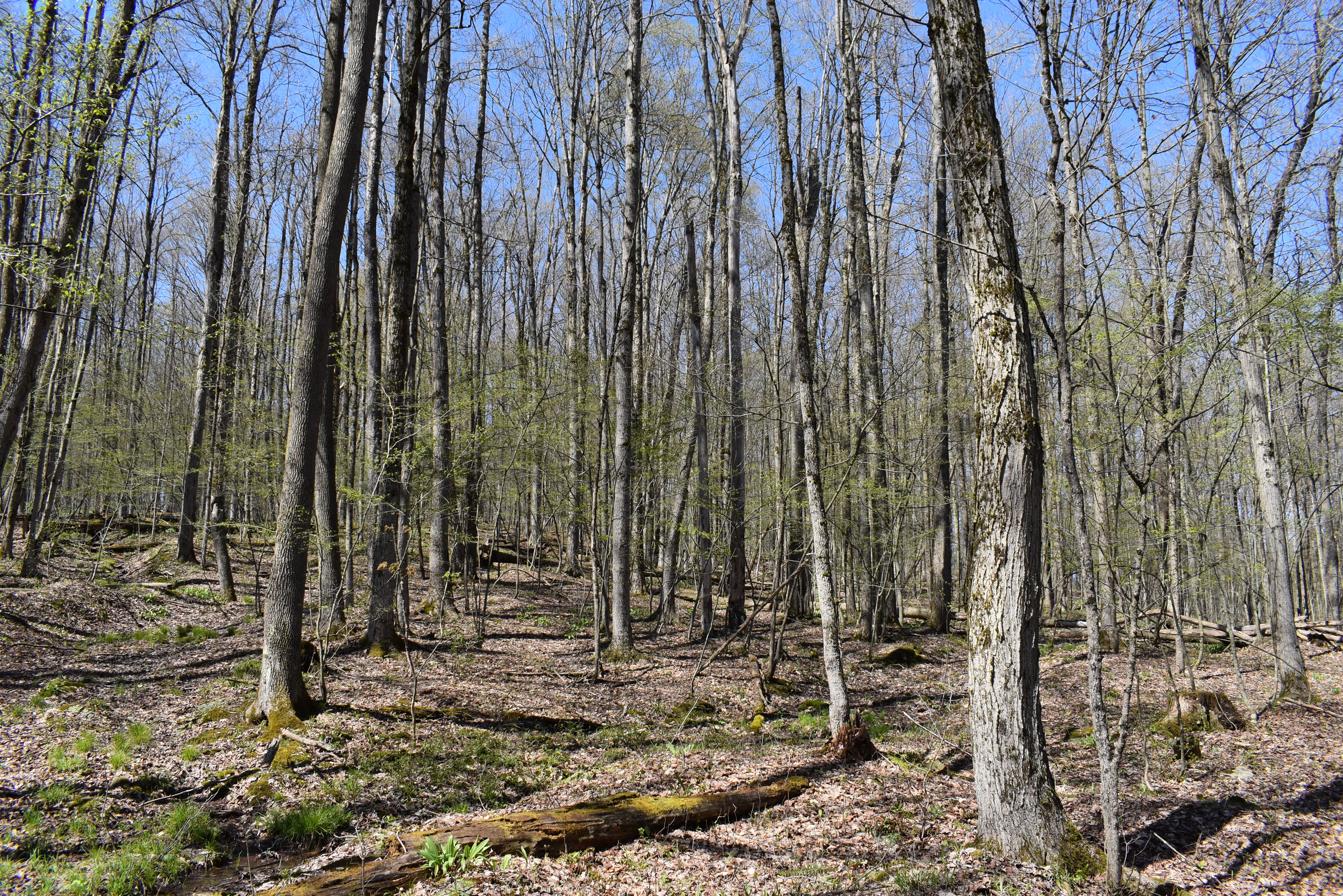 Listing Image 42