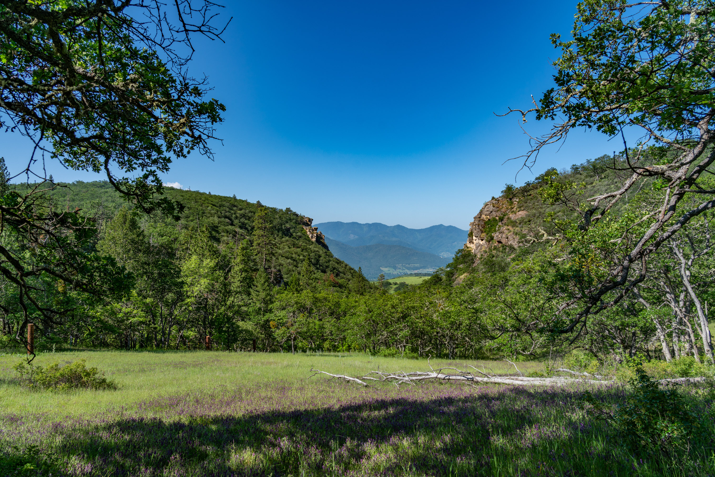 Listing Image 82