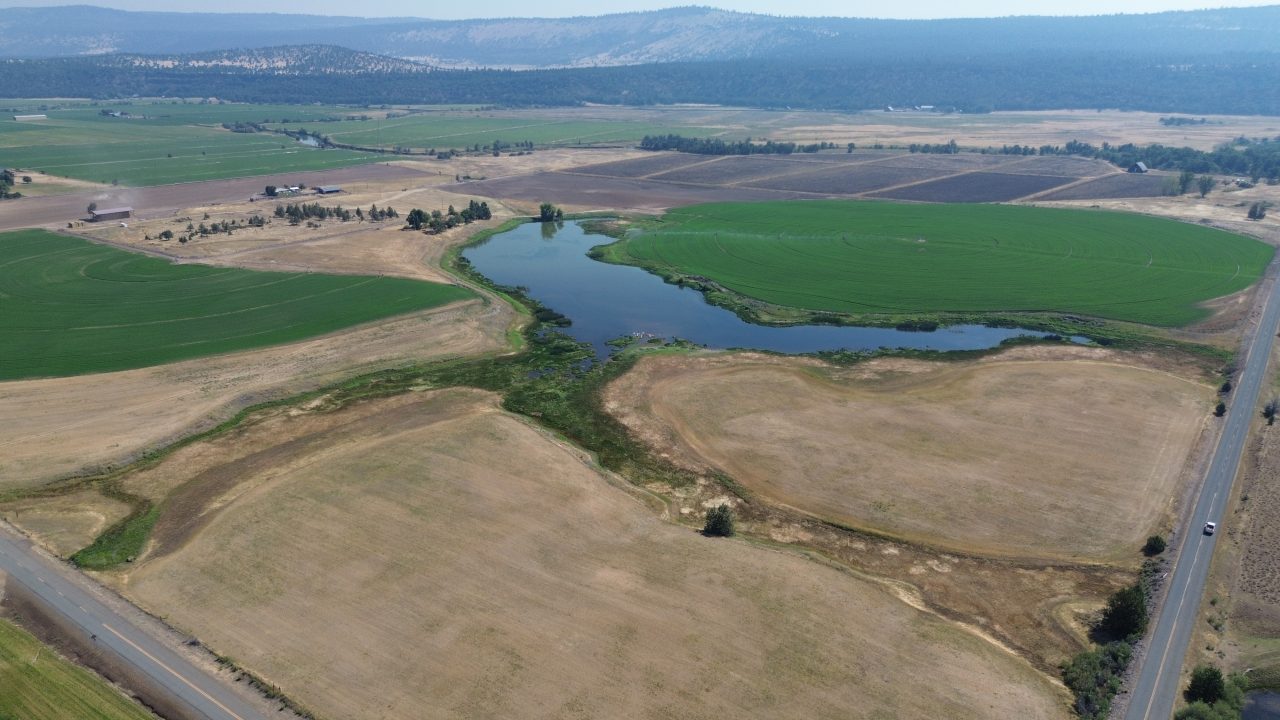 Listing Image 50