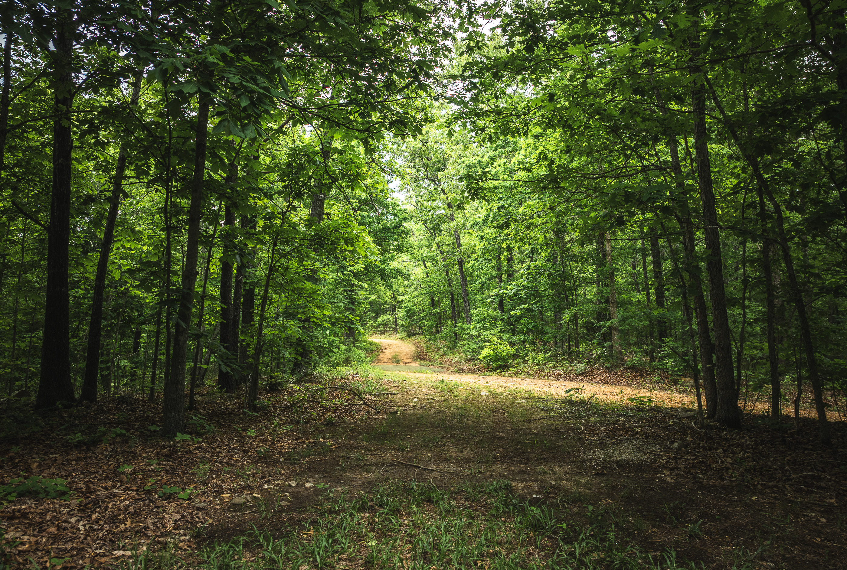 Pine Hollow Sportsmen