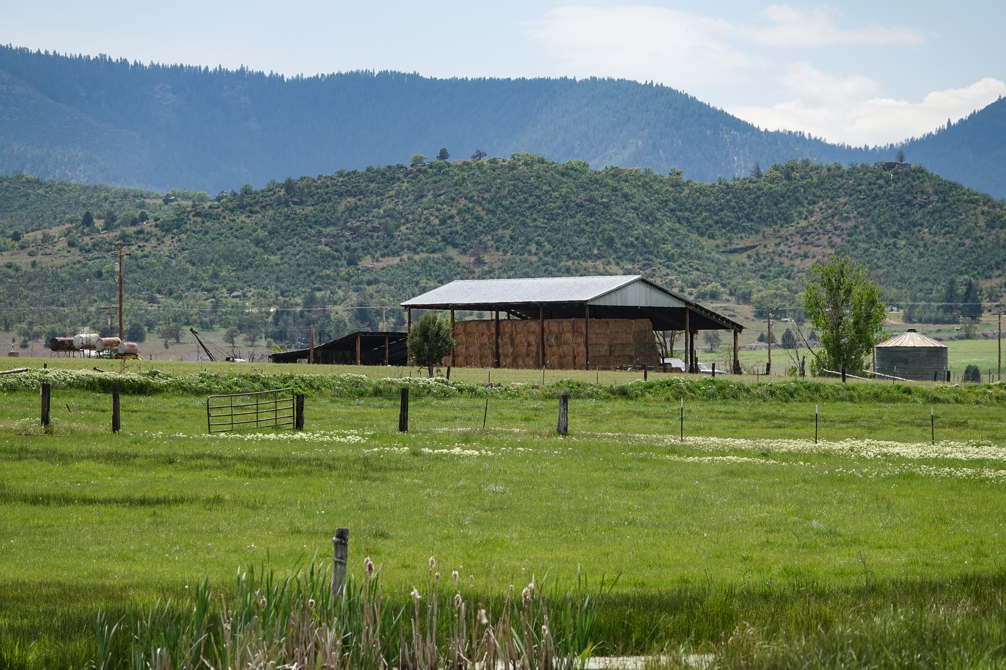 Lorenzini Ranch