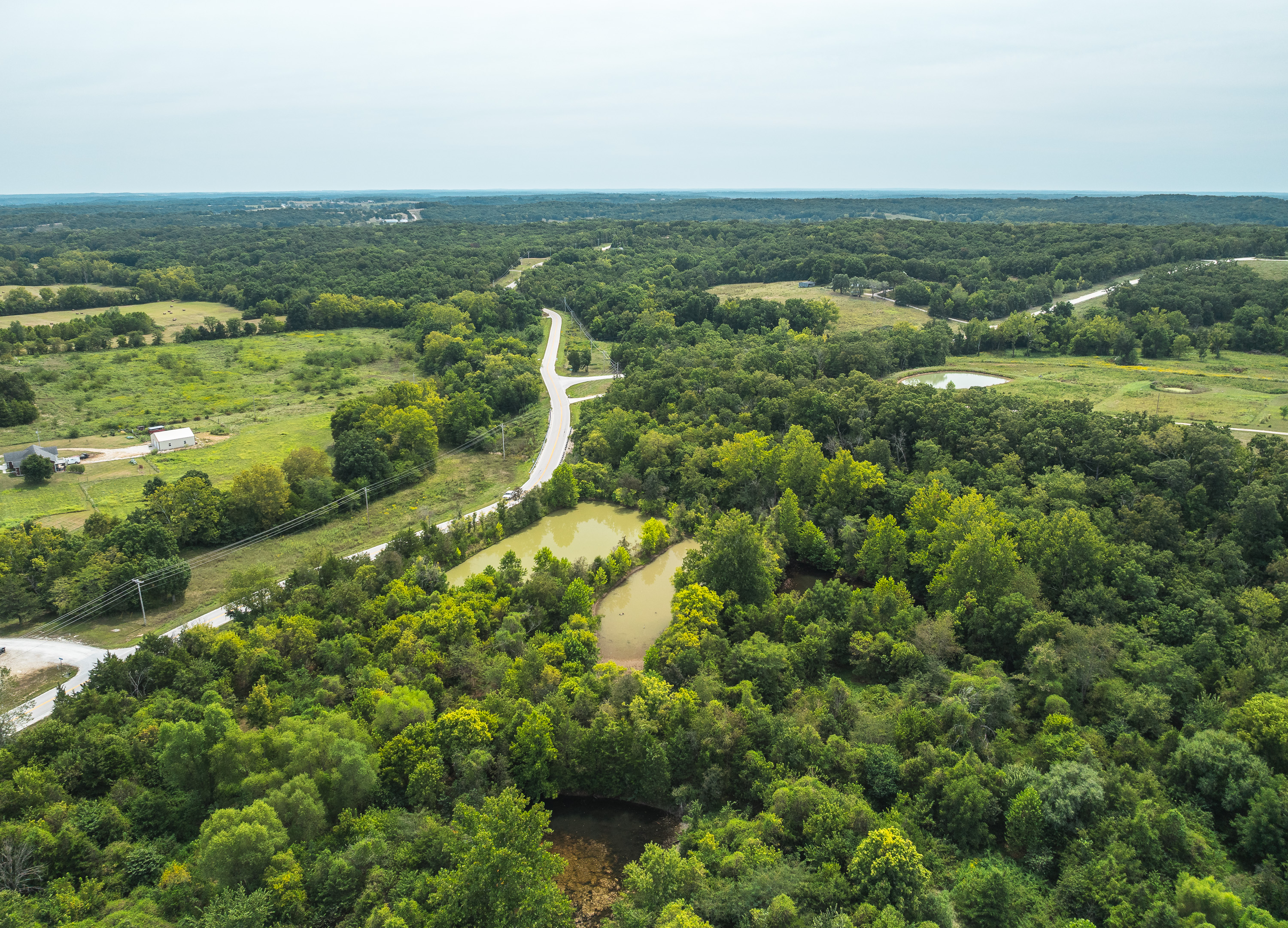 Hickory Hill Hollow