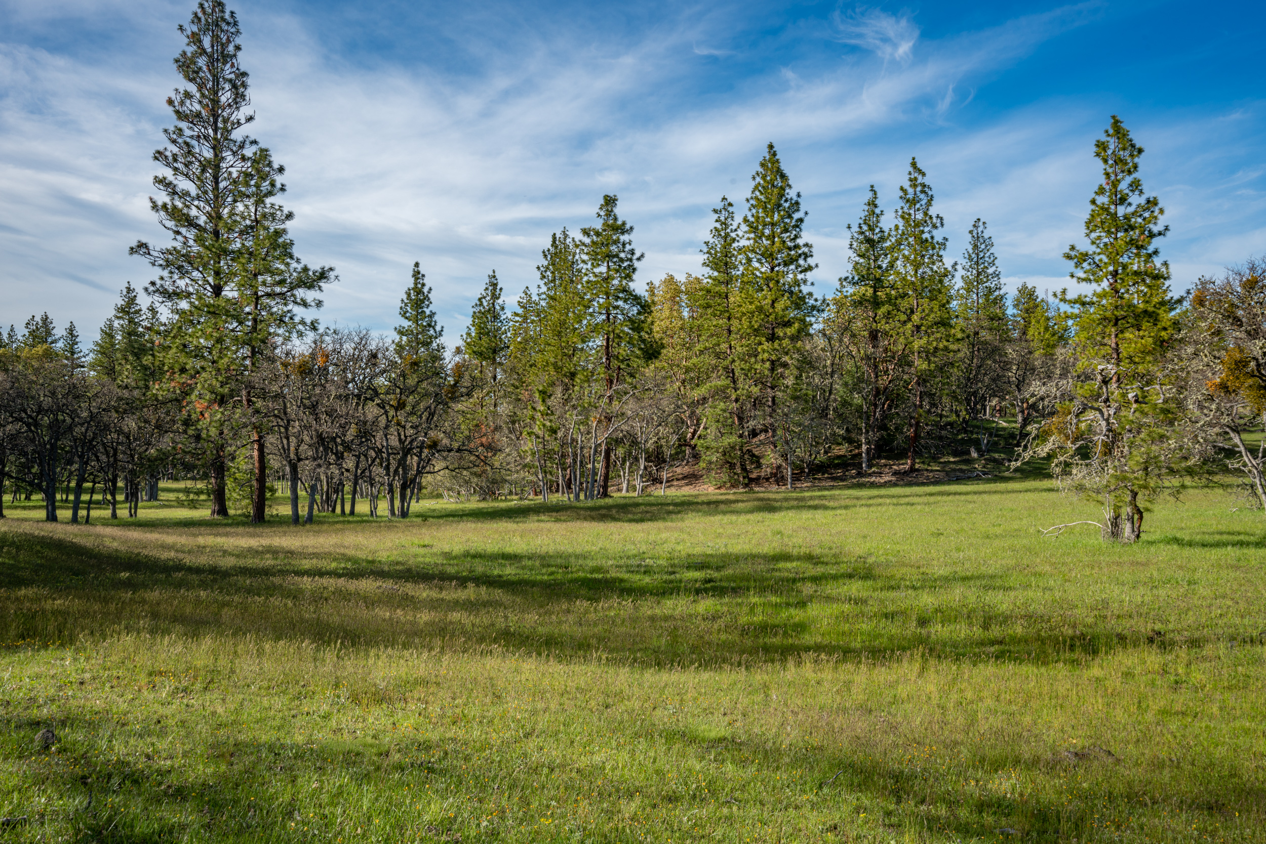 Mount Baldy Ranch