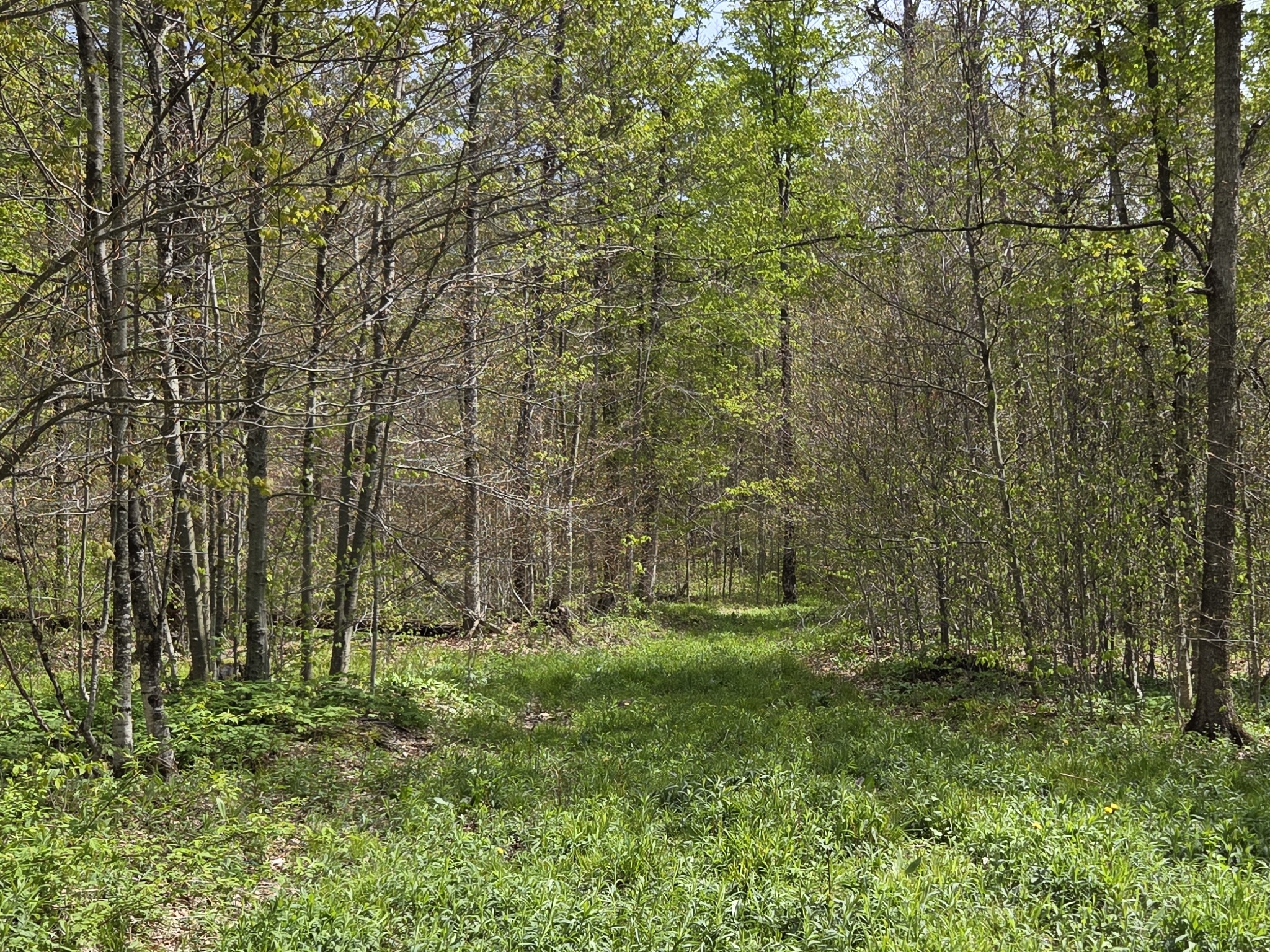 Listing Image 22