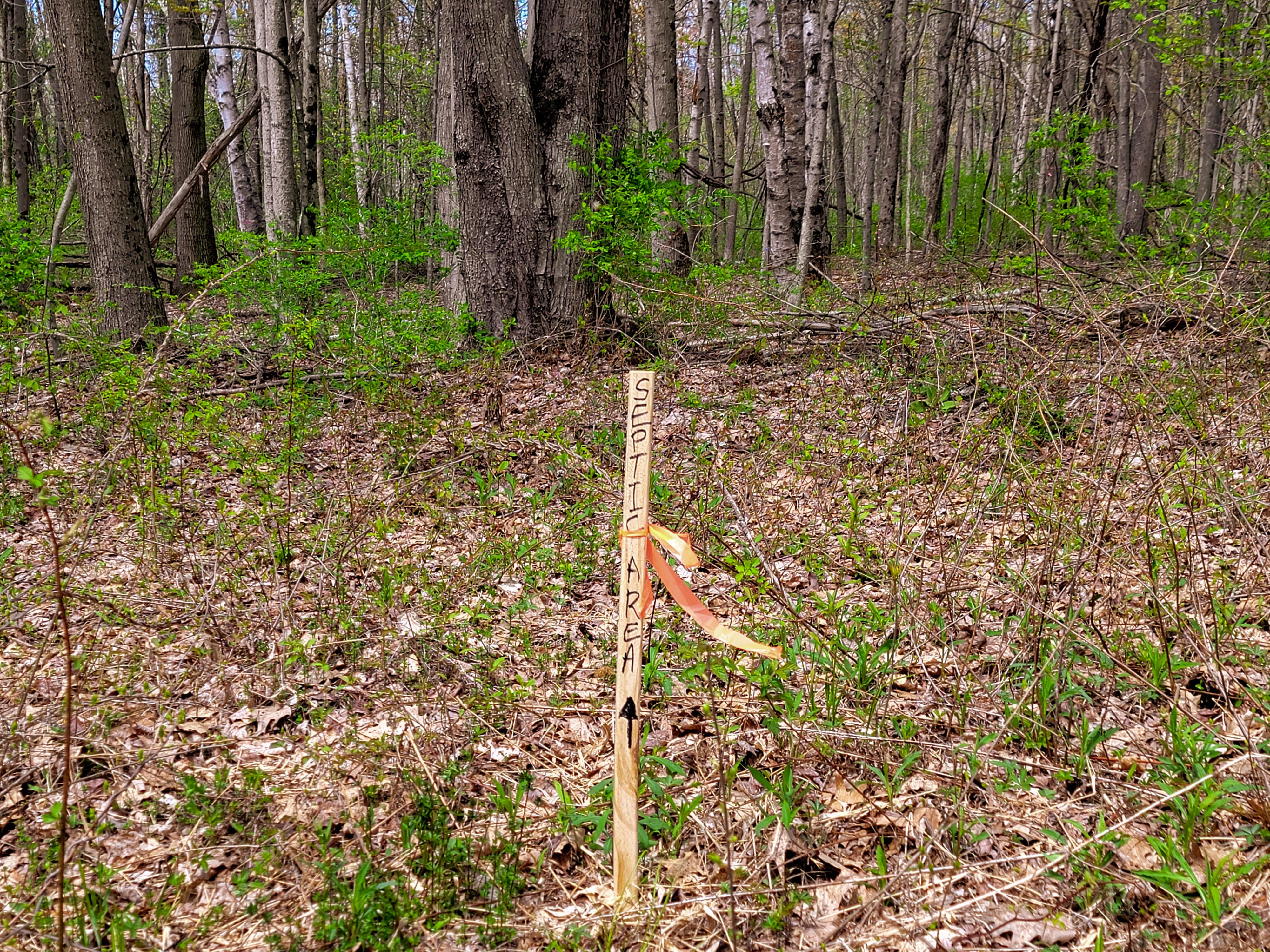Listing Image 46