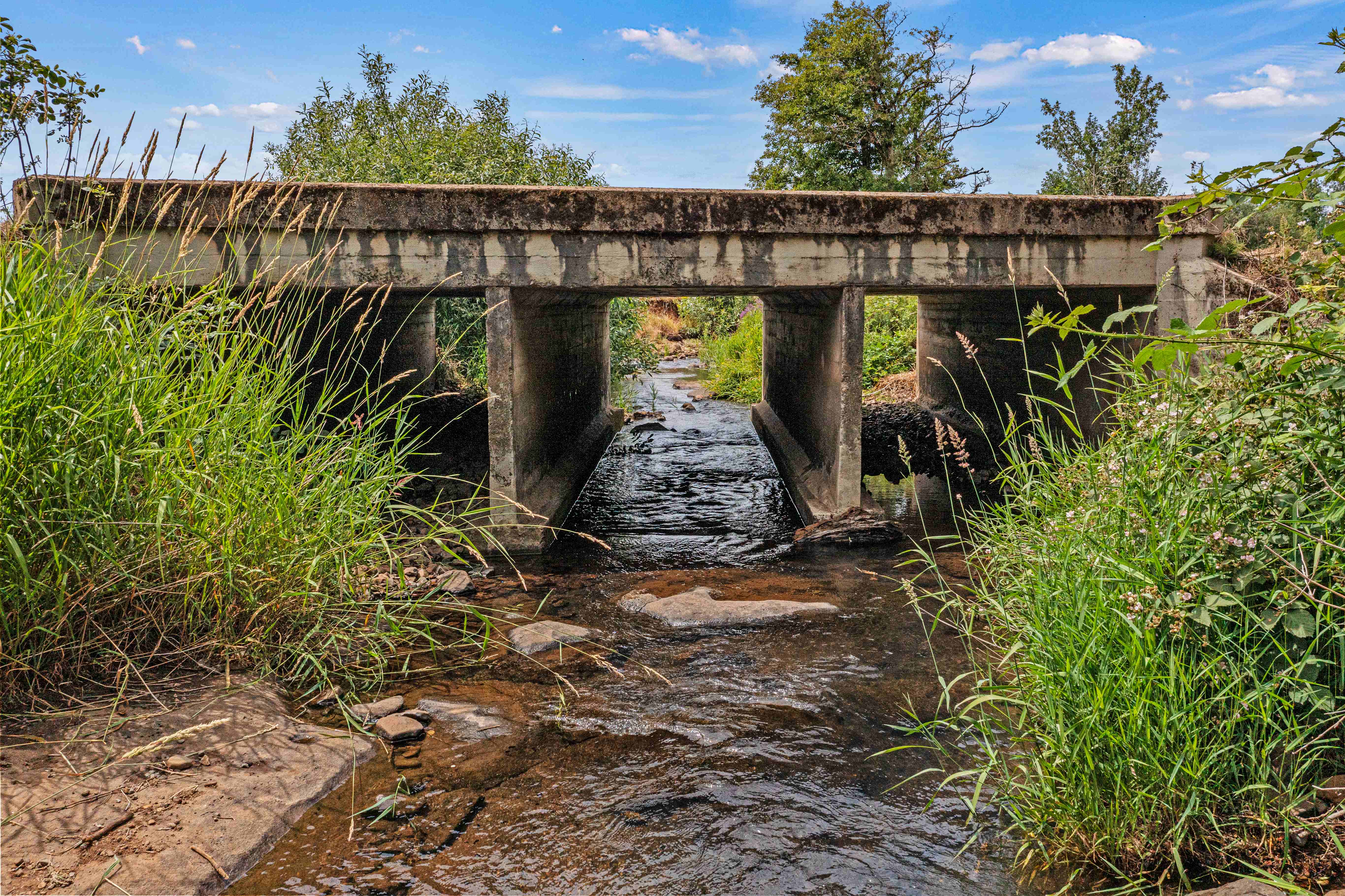 Sublimity 152 — Productive Willamette Valley Farm for Sale with Creek Frontage and Homesite Potential