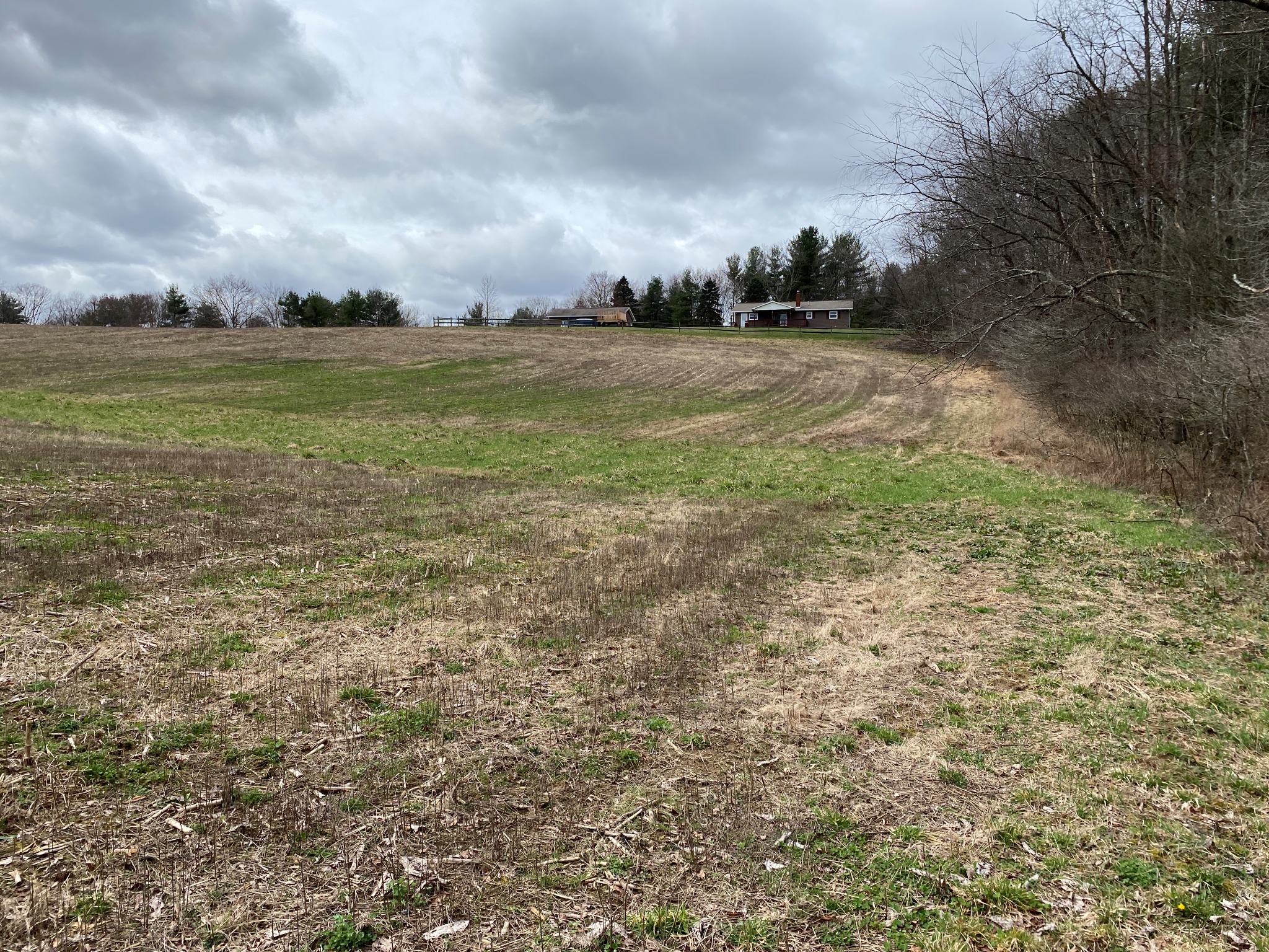Mark's Meadow