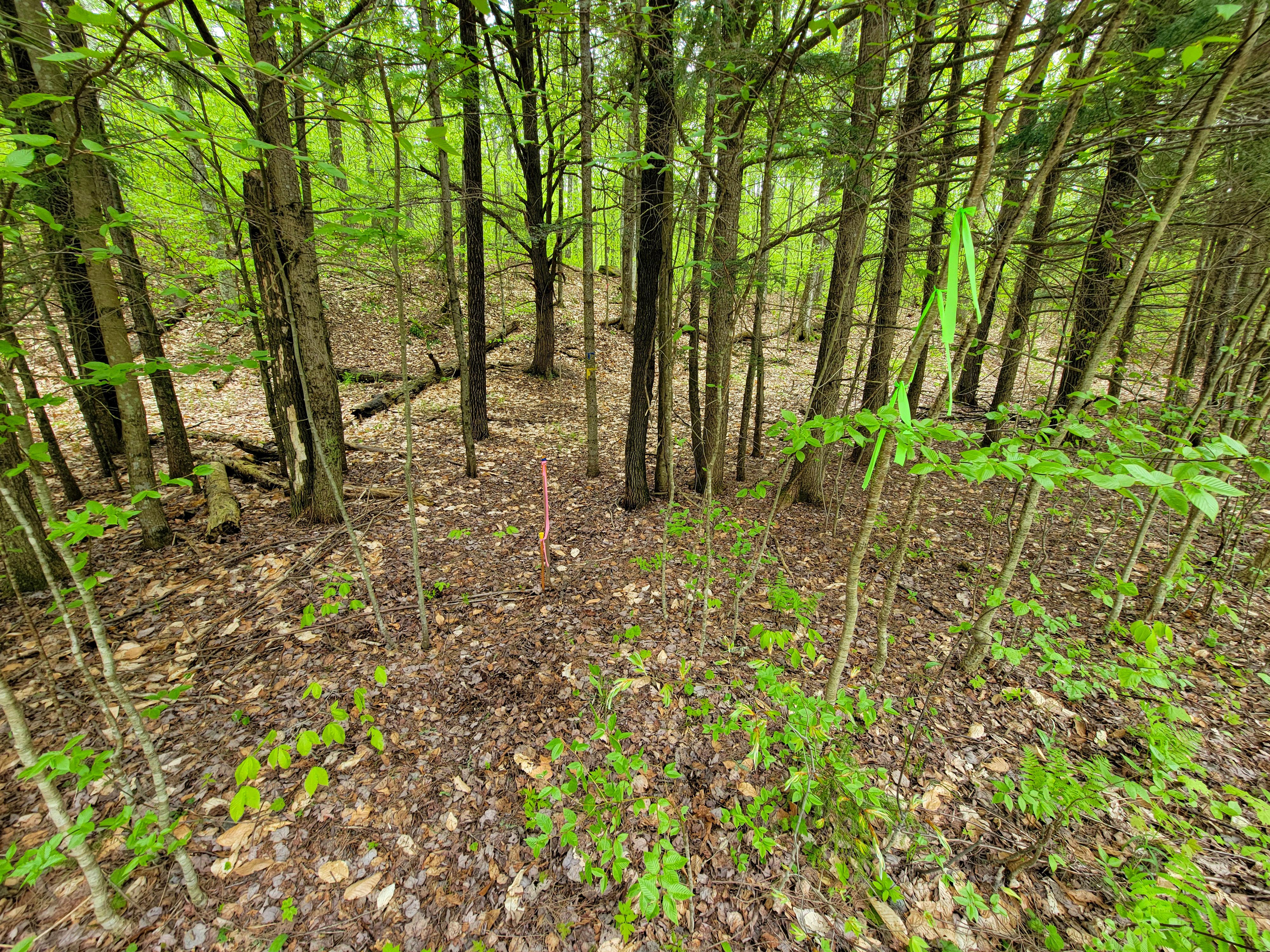 Listing Image 17