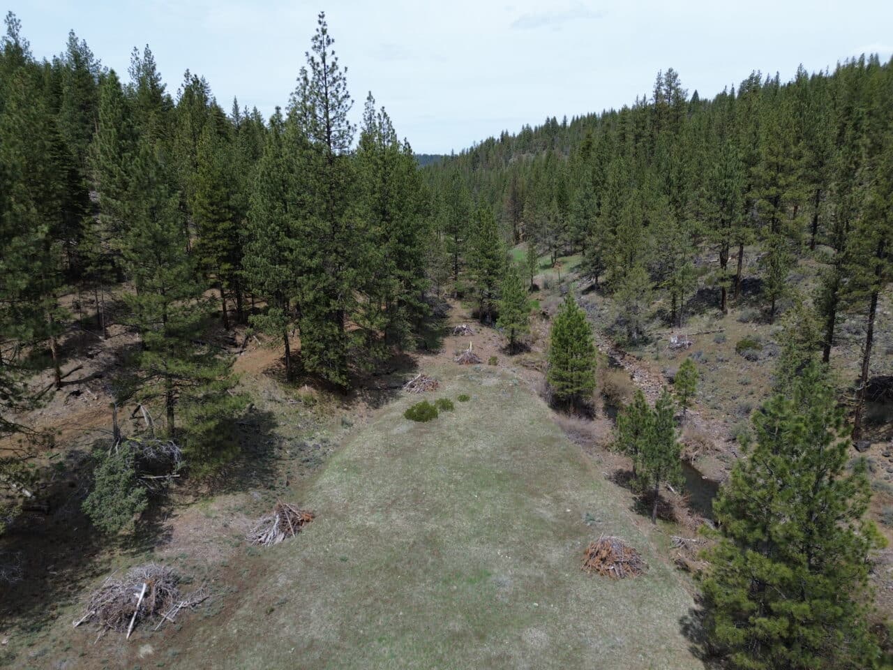 Johnson Creek Meadow