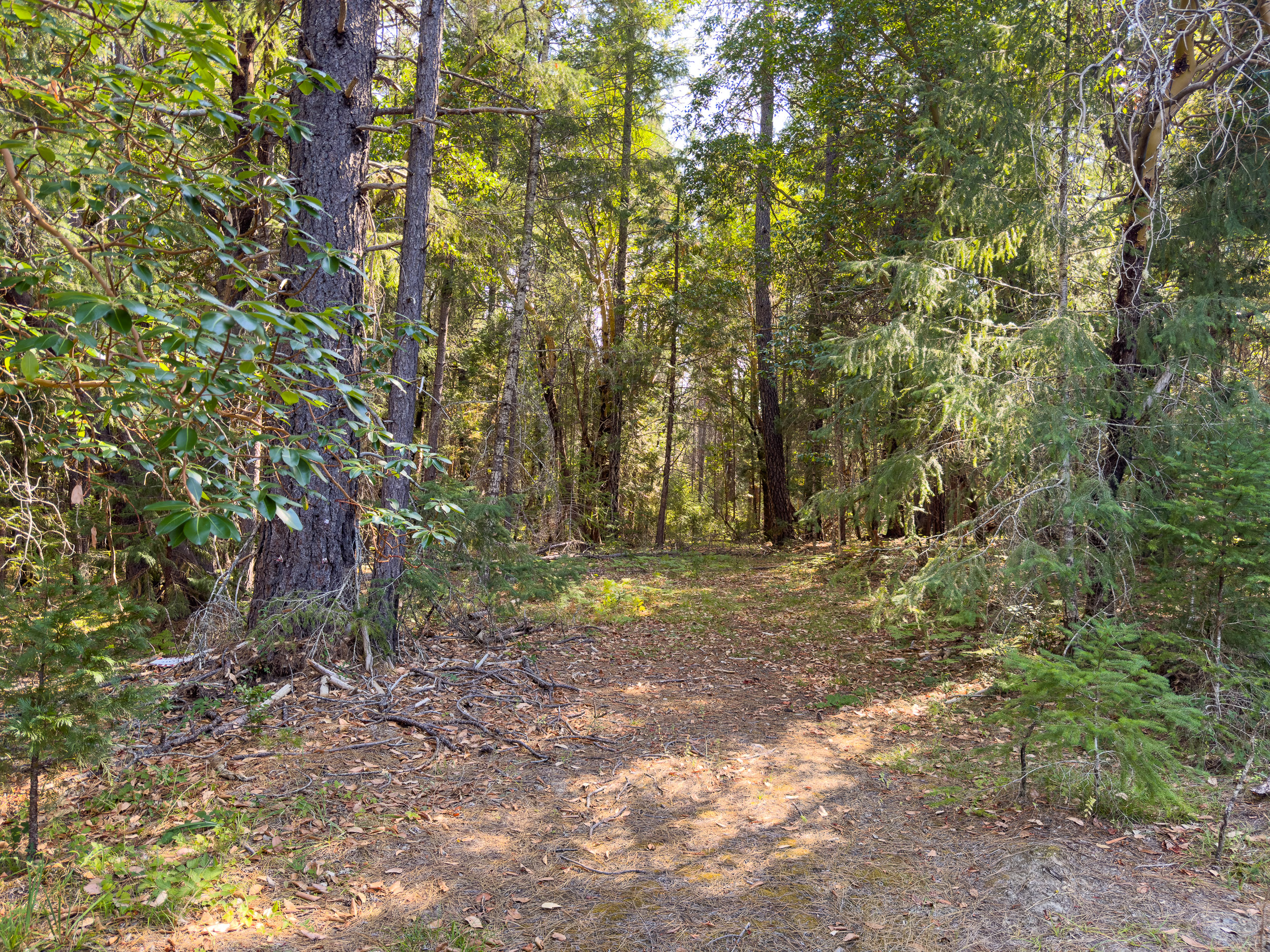 Pleasant Creek Road TL301