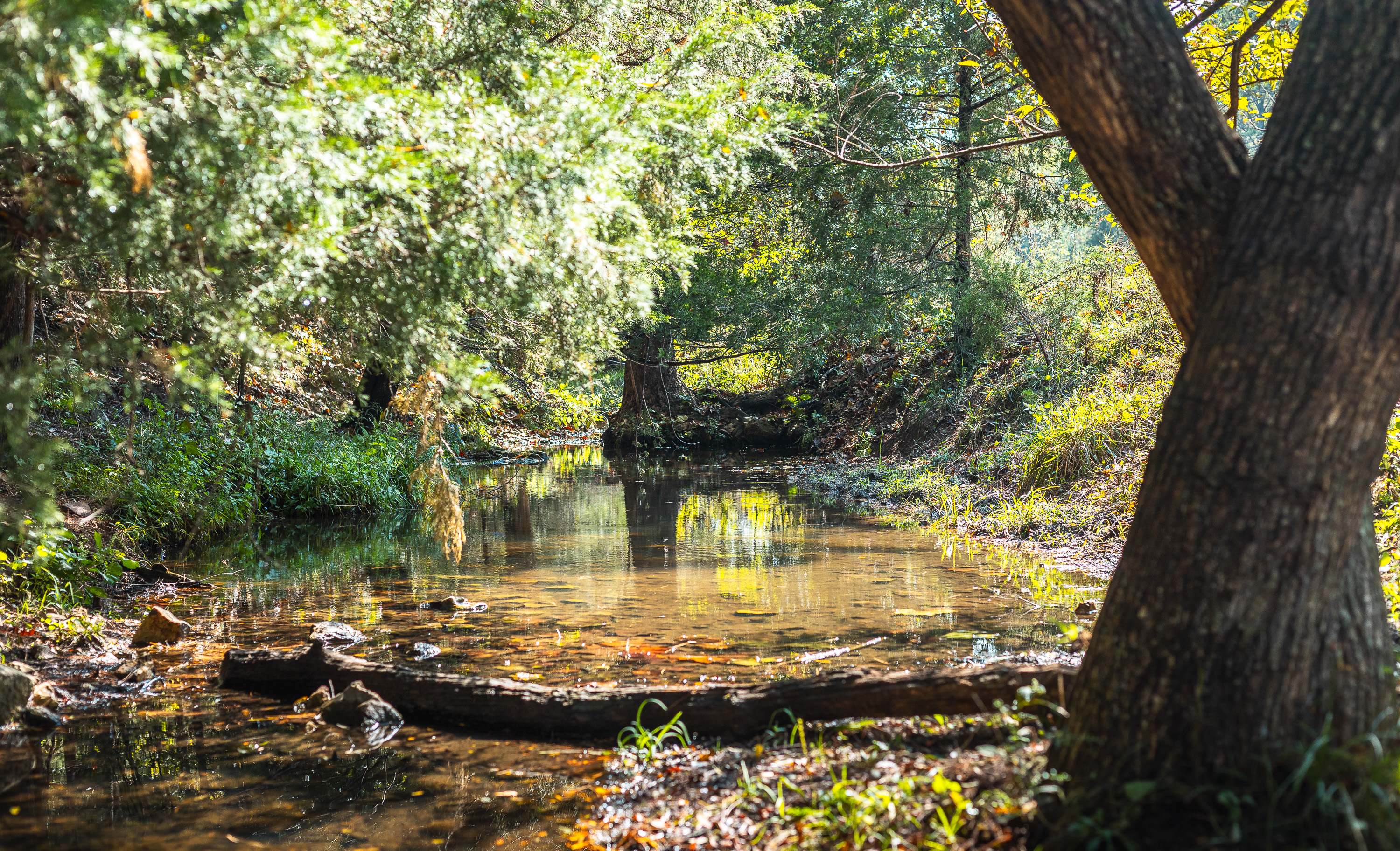 Ashley Creek Ranch 329