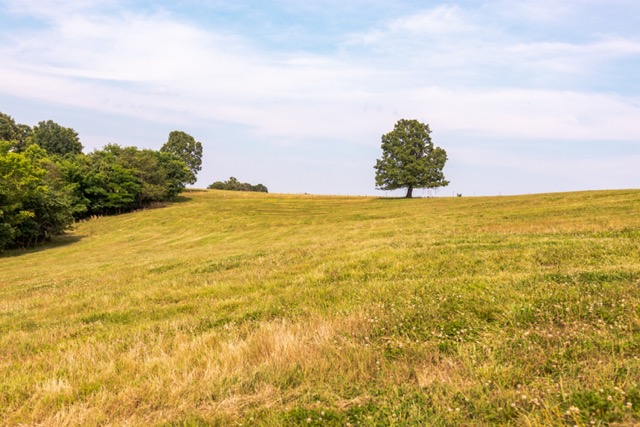 7 Pasture Farm