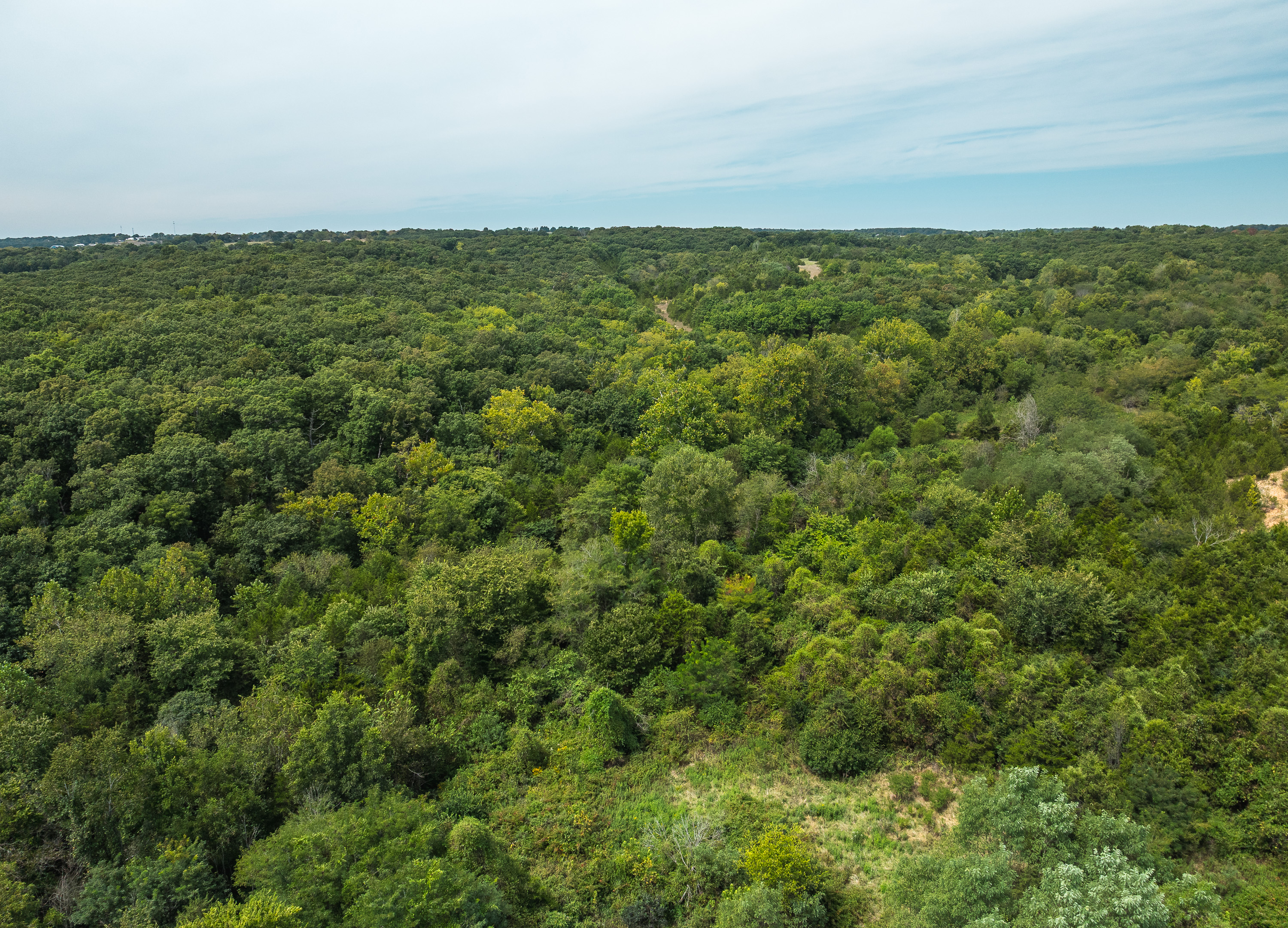 Hickory Hill Hollow
