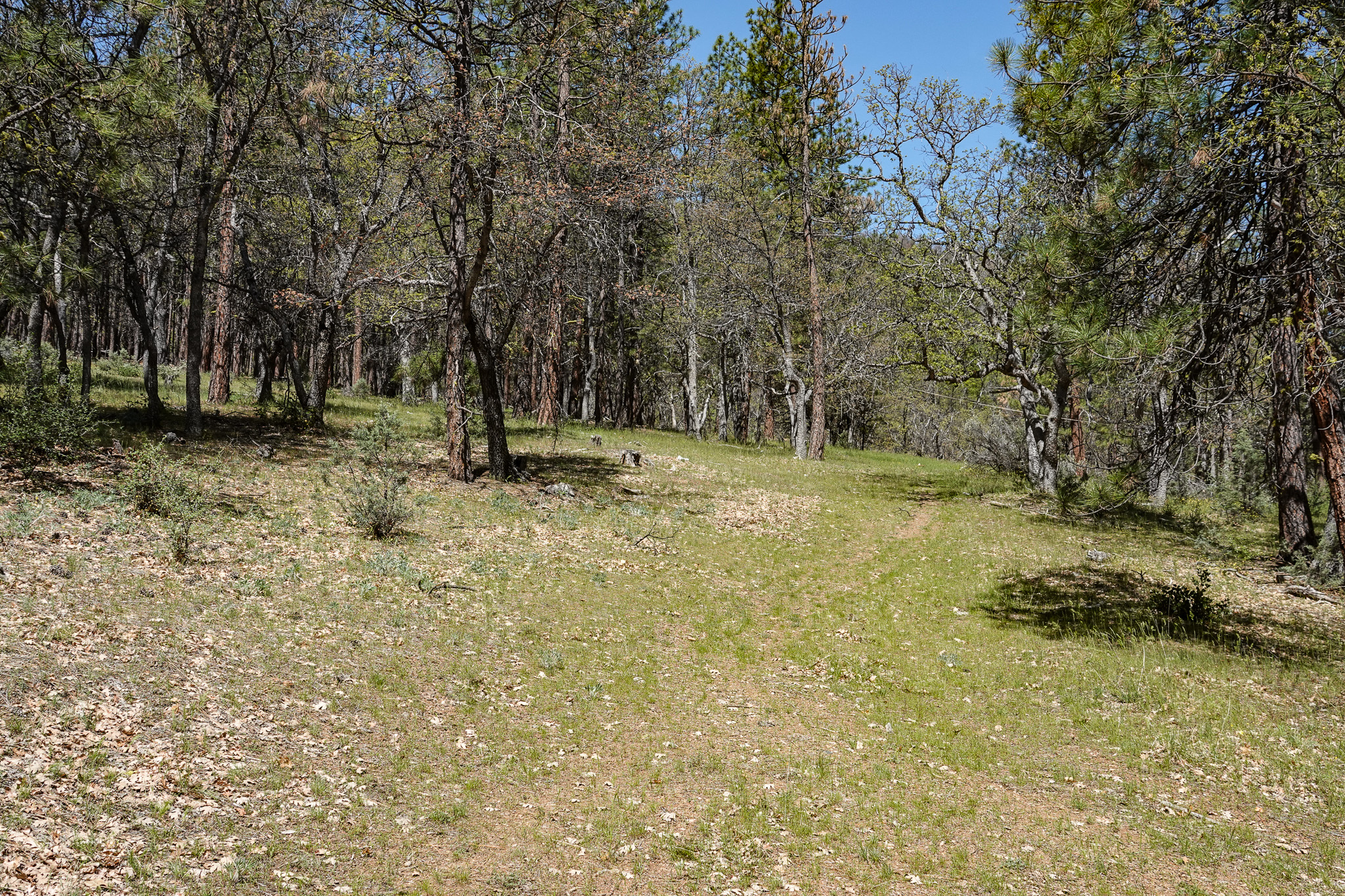 East Road Ragland Gulch Acreage
