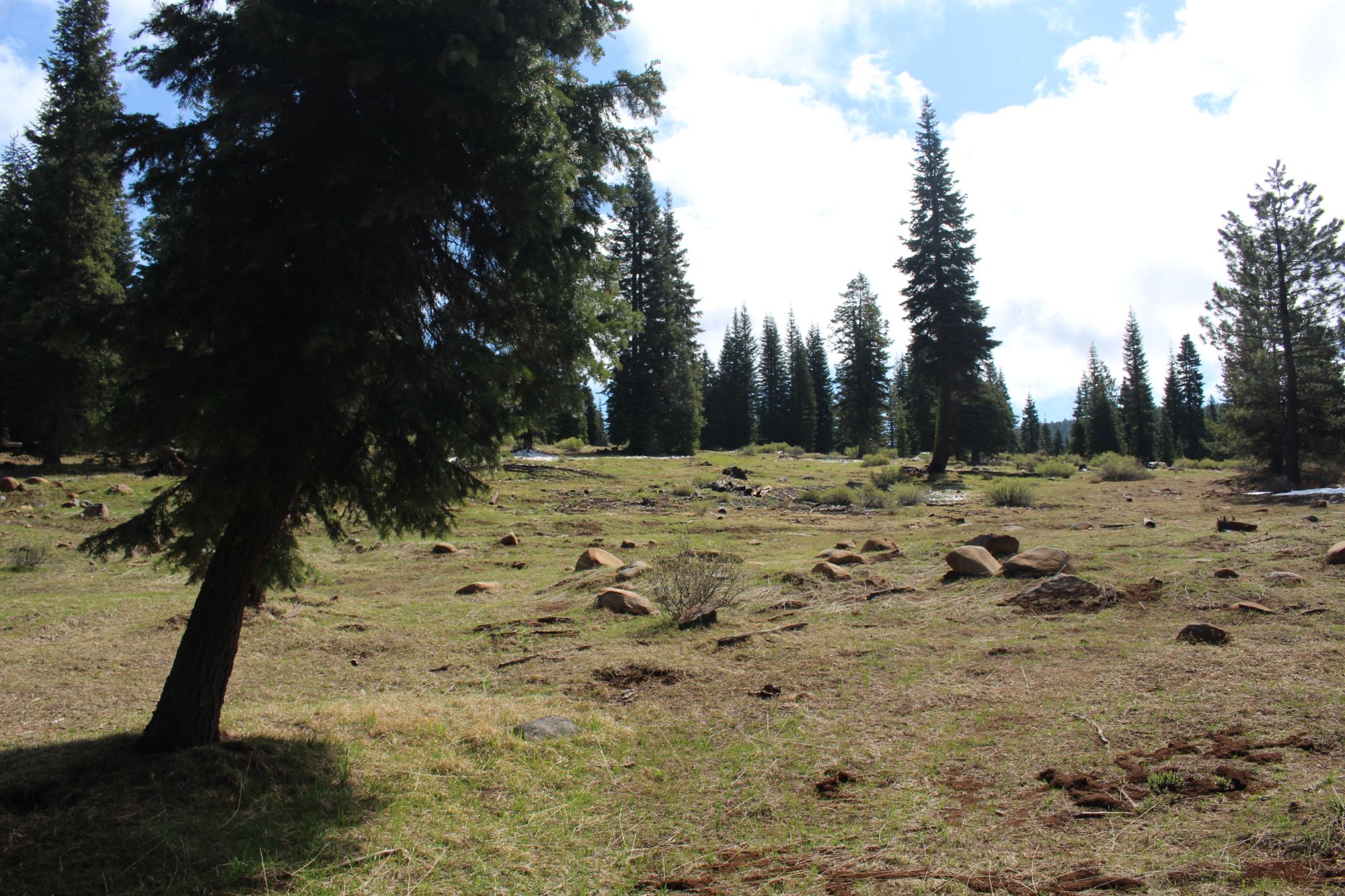 Keno Access Rd