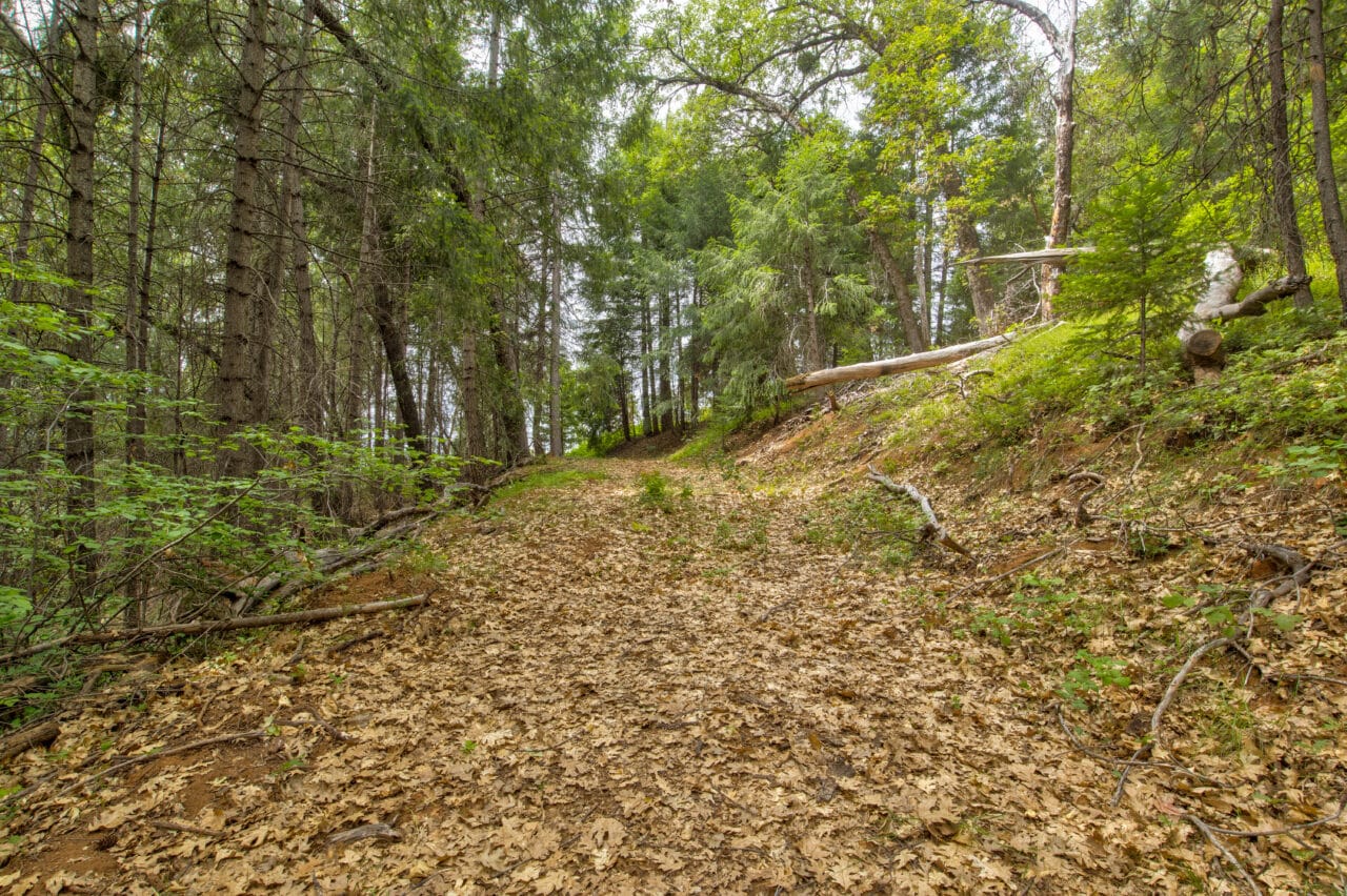 Foresthill Divide