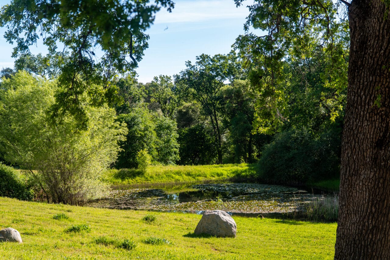 Listing Image 86