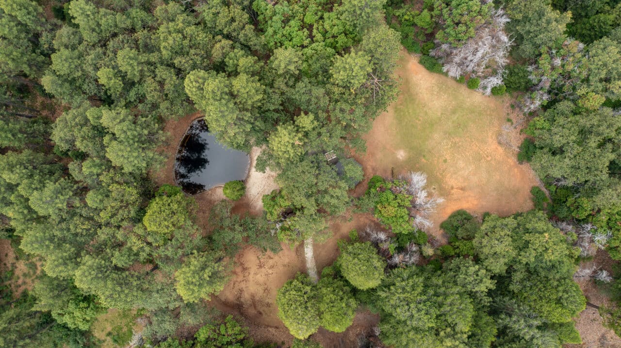 Foresthill Divide