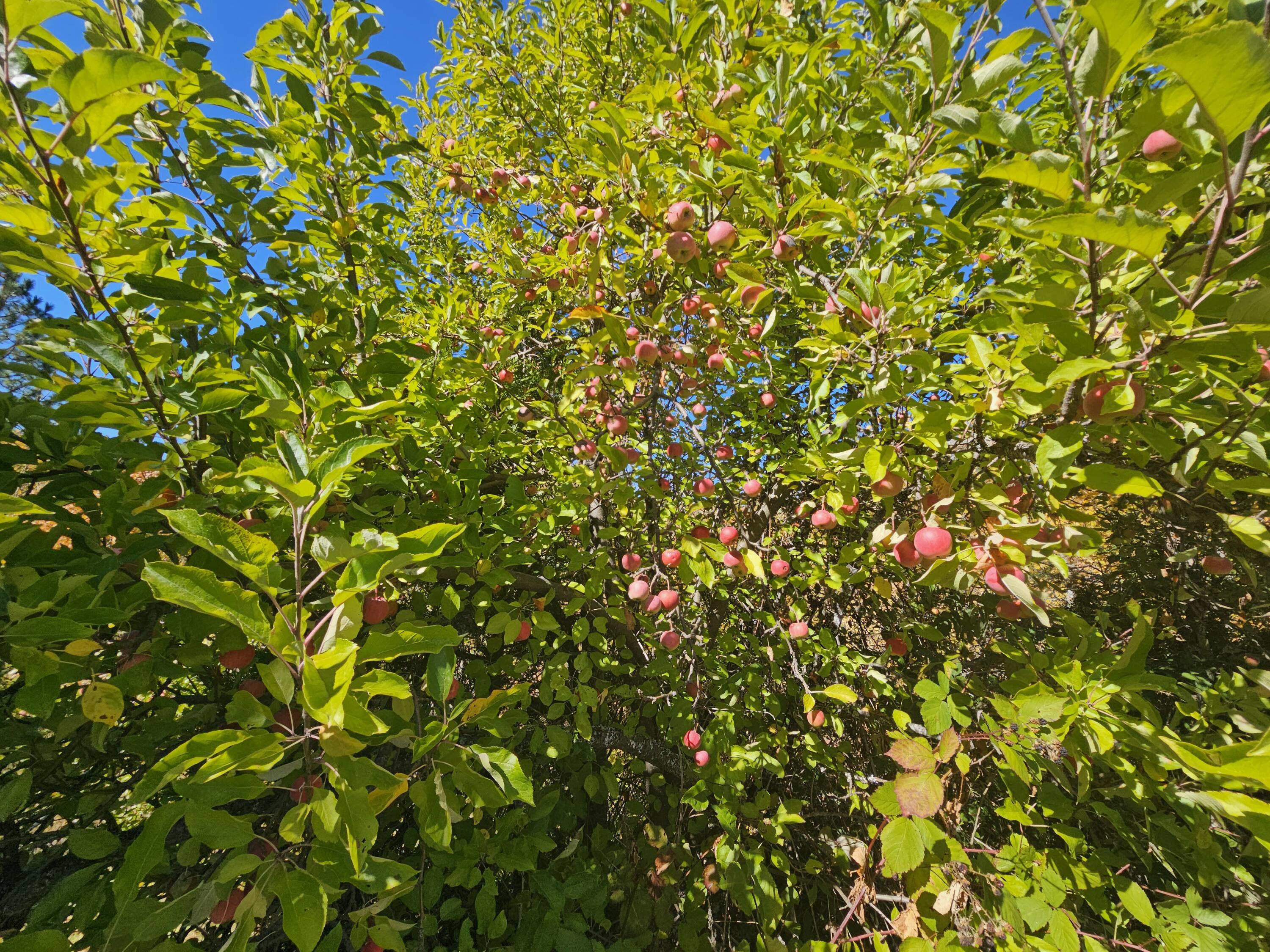 Listing Image 6