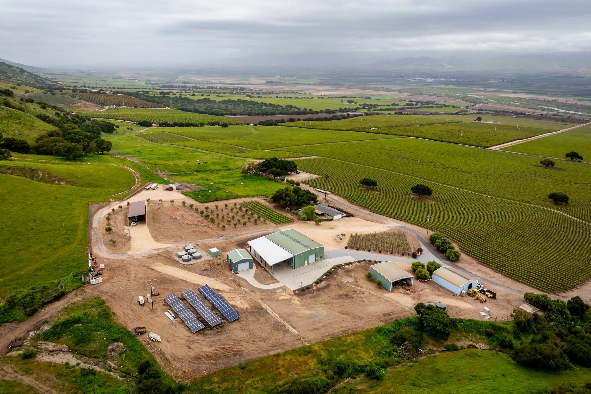 Boekenoogen Santa Lucia Highlands Vineyard