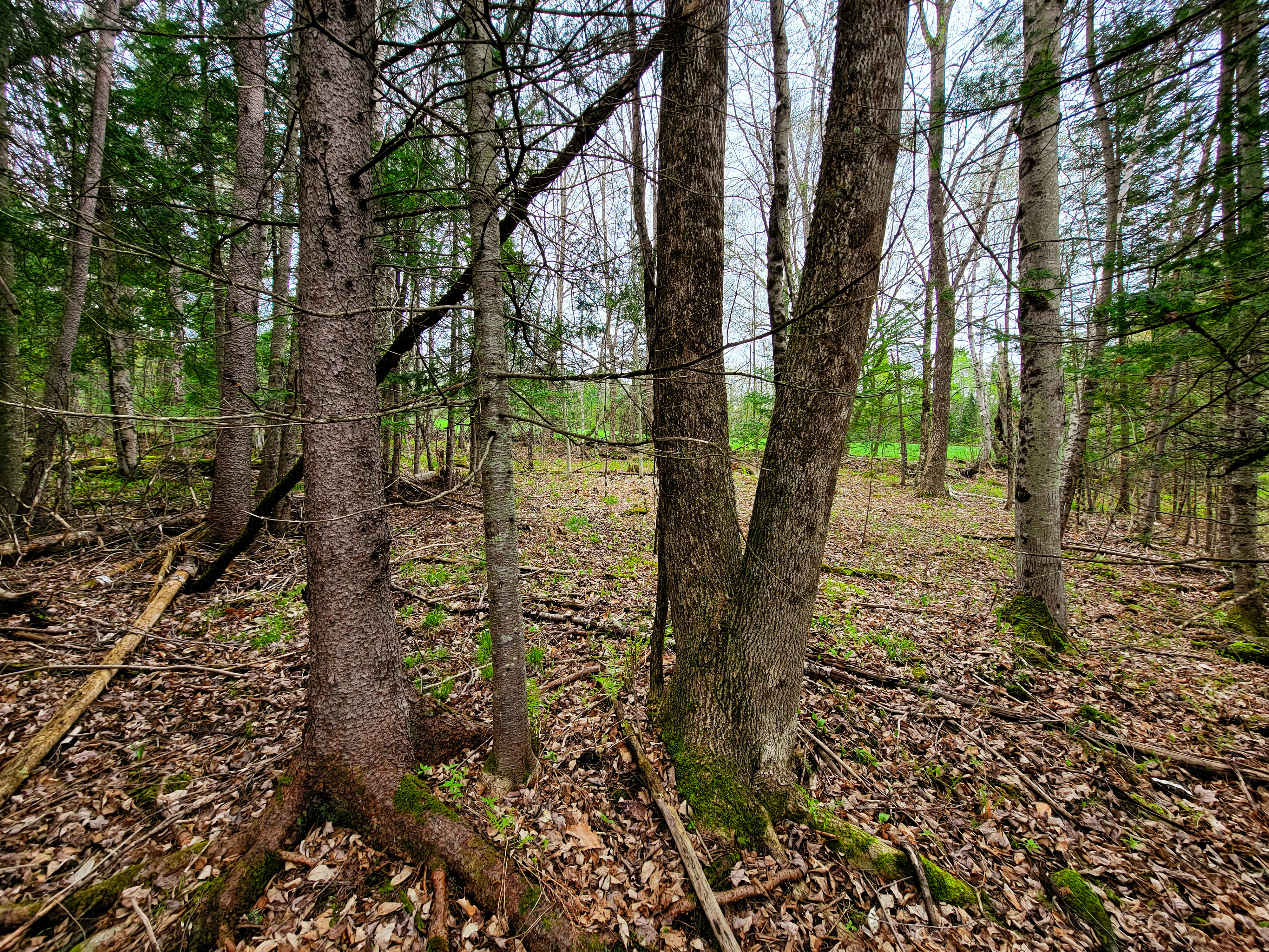 855 Campbell Rd - Waterford