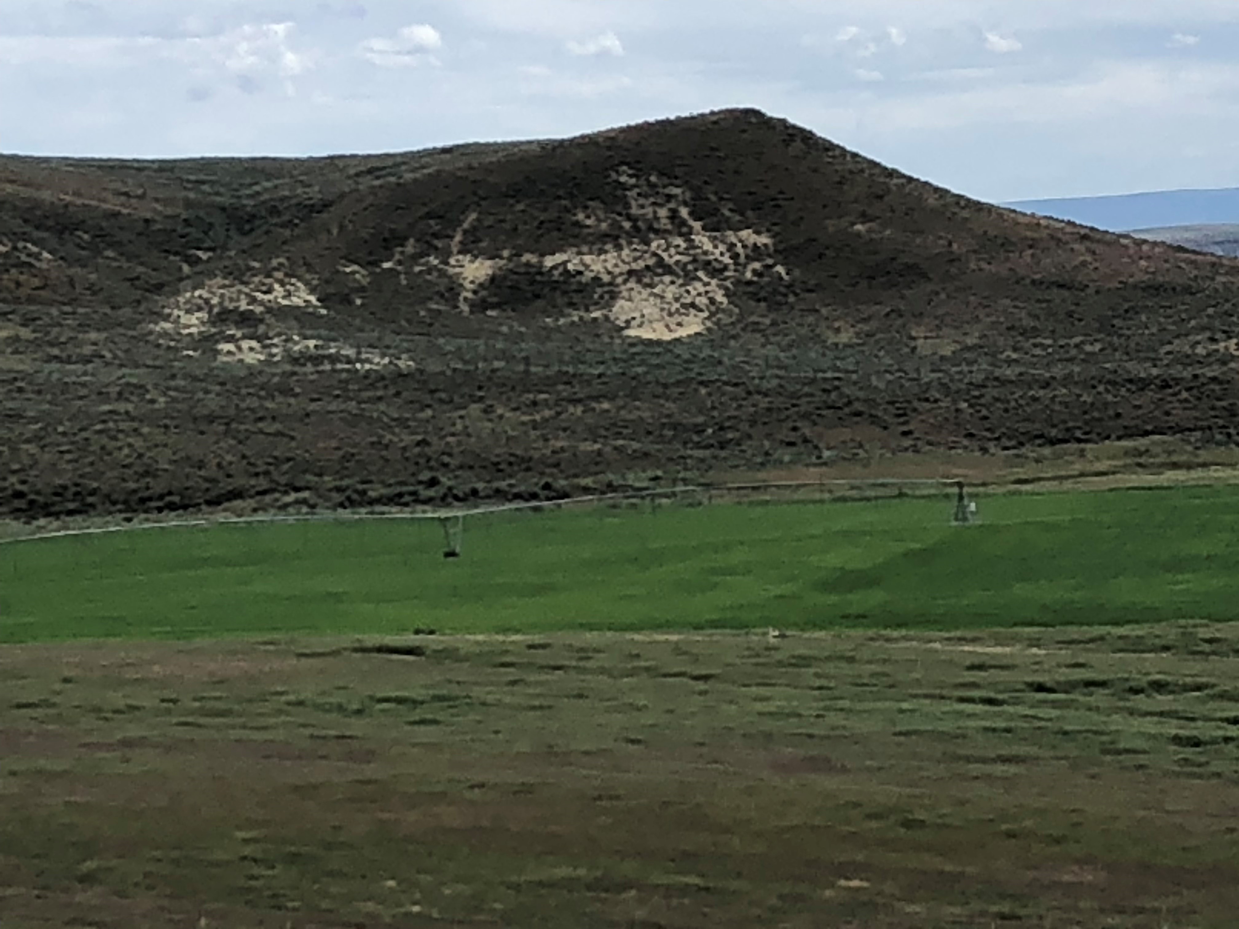 Listing Image 55