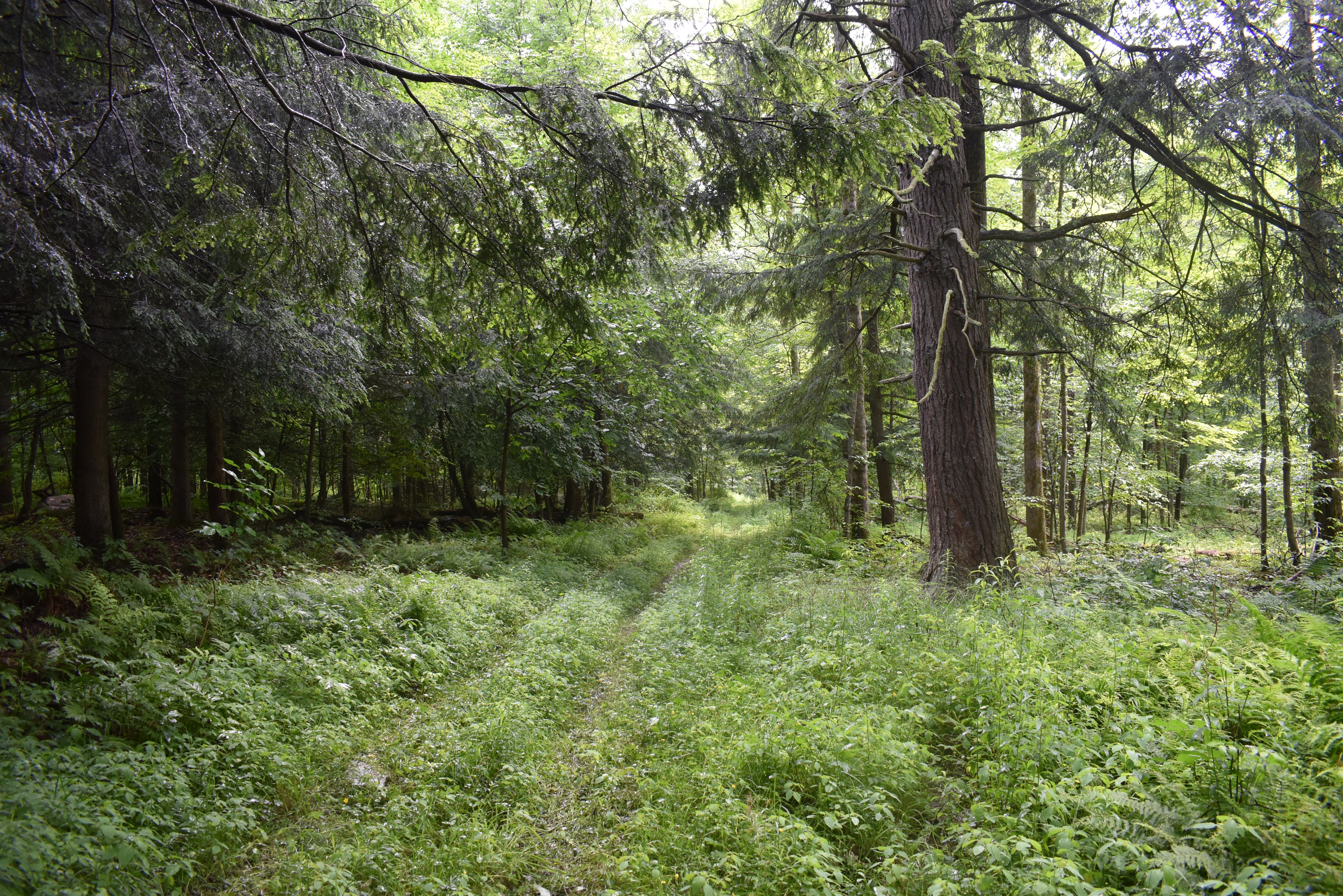 Listing Image 88